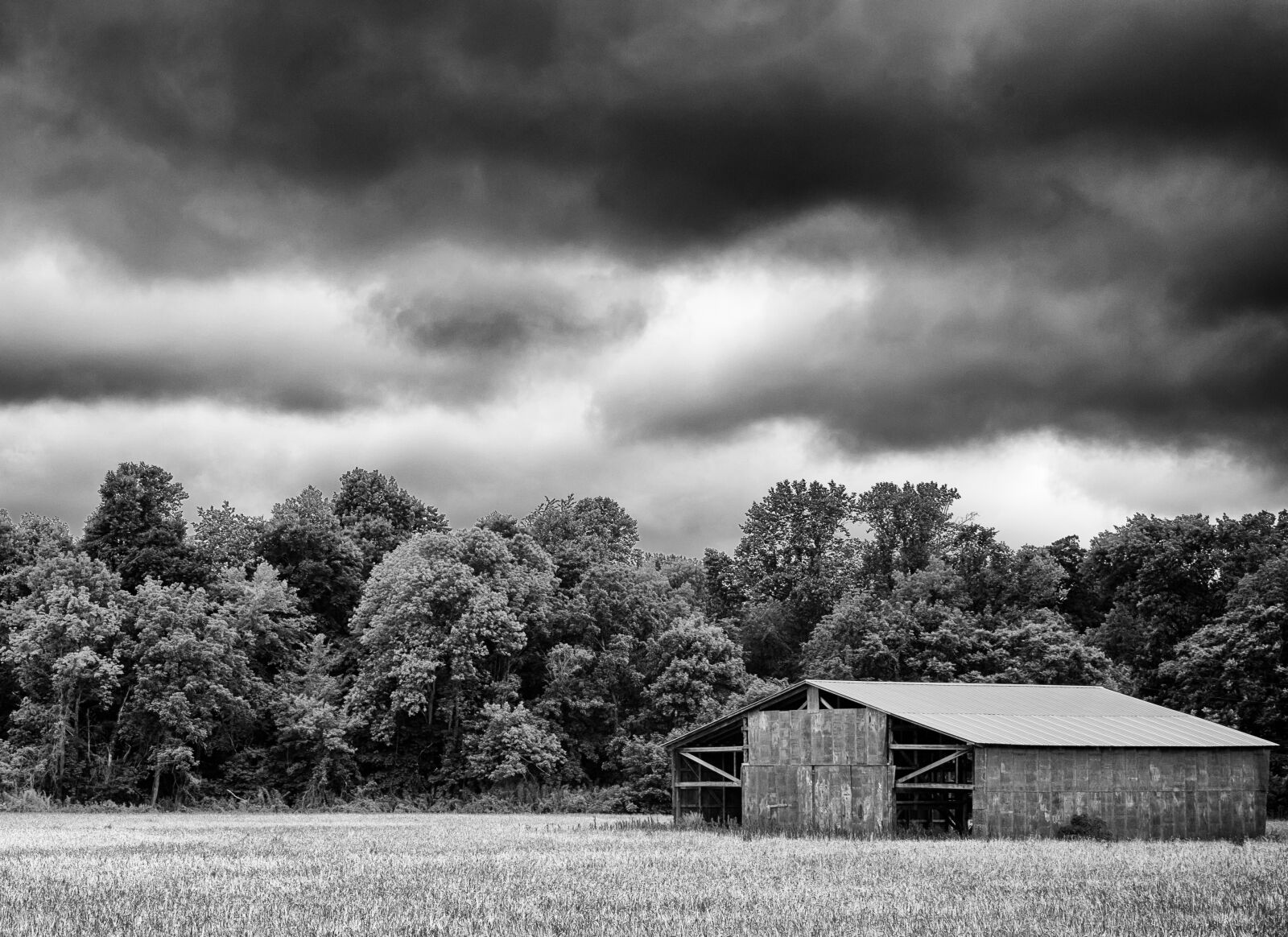 Leica X Vario sample photo. Monochrome, black and white photography