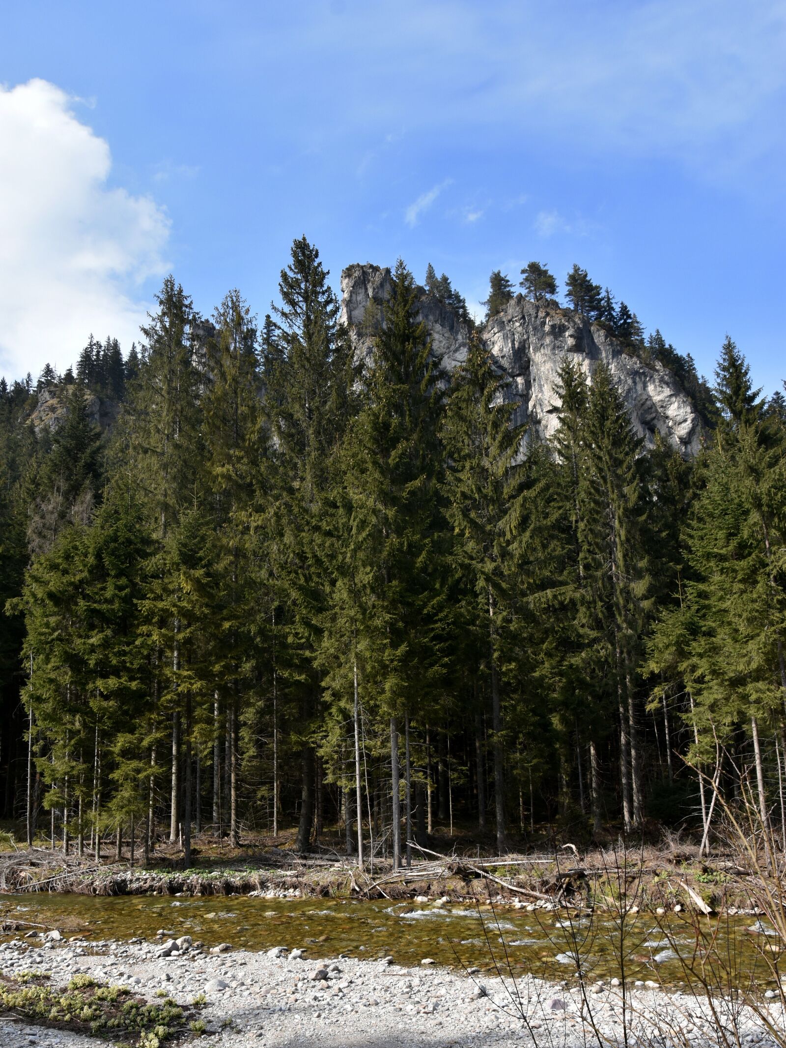 Nikon D7200 sample photo. Mountain, forest, river photography