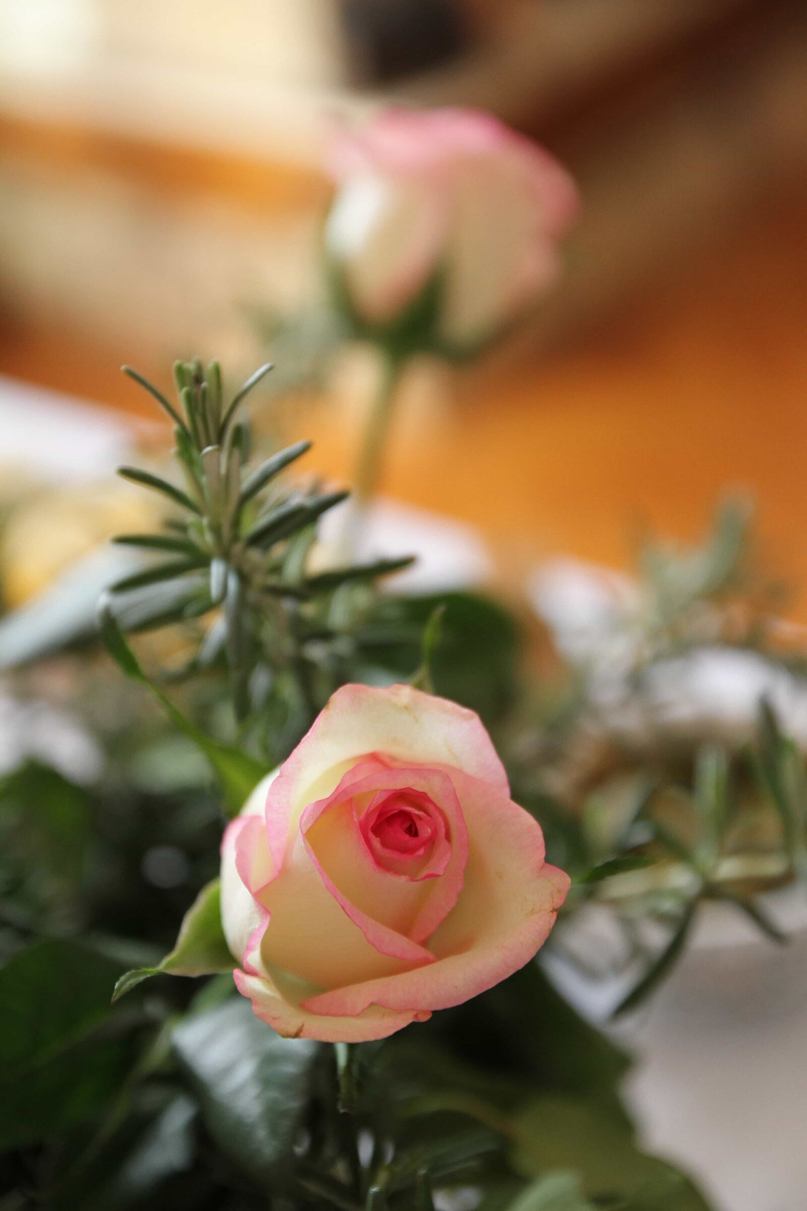 Canon EOS 7D sample photo. Bouquet, petals, rosemary, roses photography