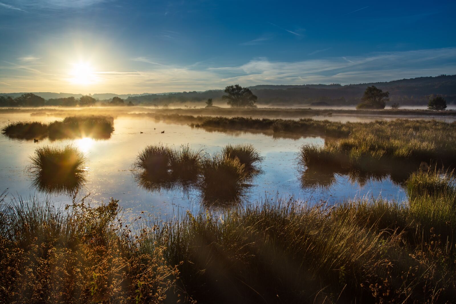 Nikon D600 sample photo. Sunrise, landscape, nature photography