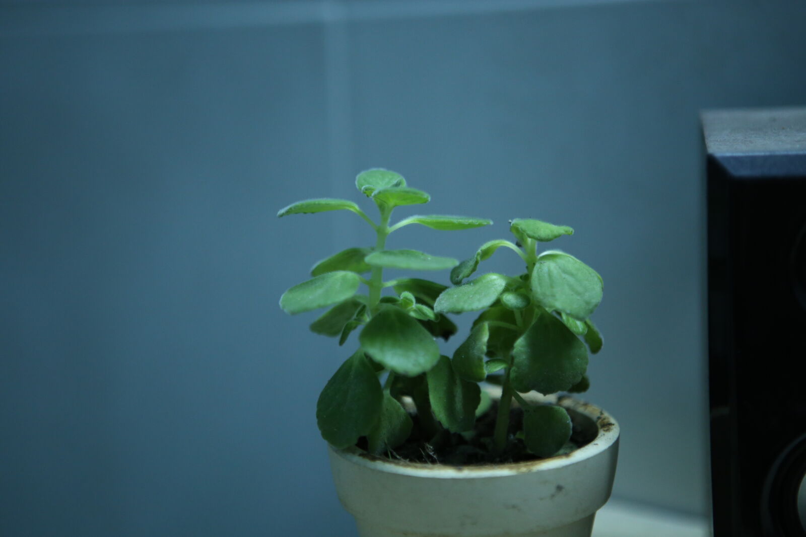 Canon EF 24-70mm F2.8L USM sample photo. Vietnam photography