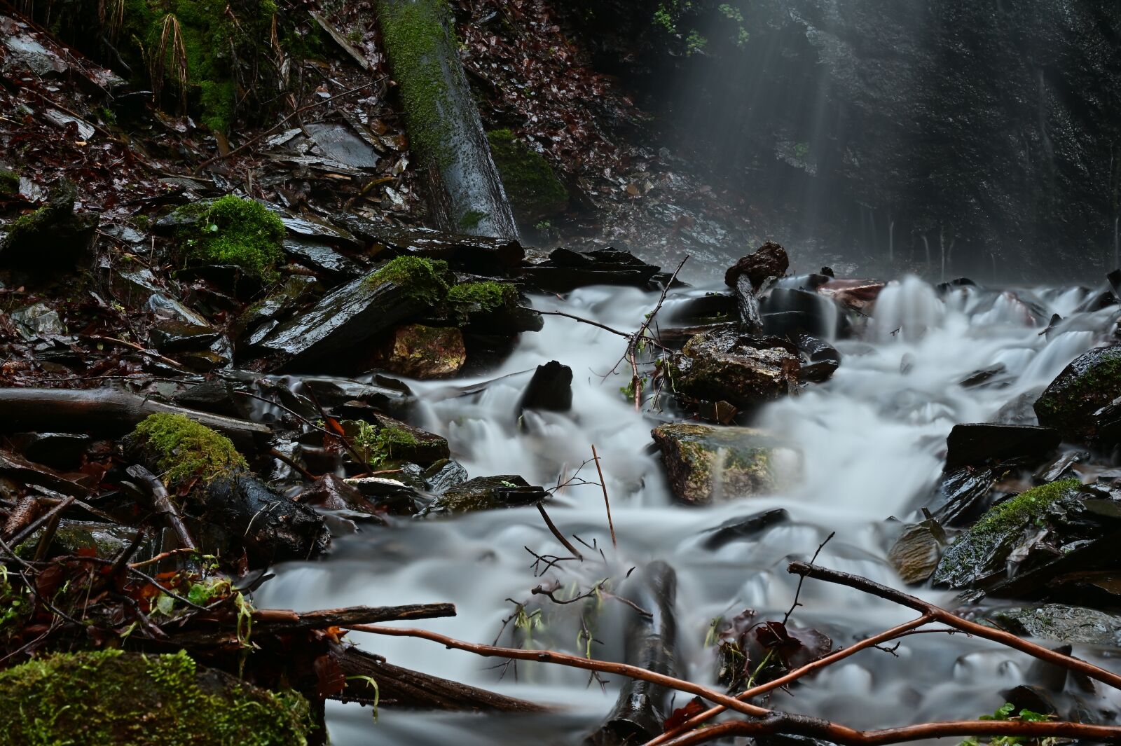 Nikon Nikkor Z 24-70mm F2.8 S sample photo. Water, bach, wilderness photography