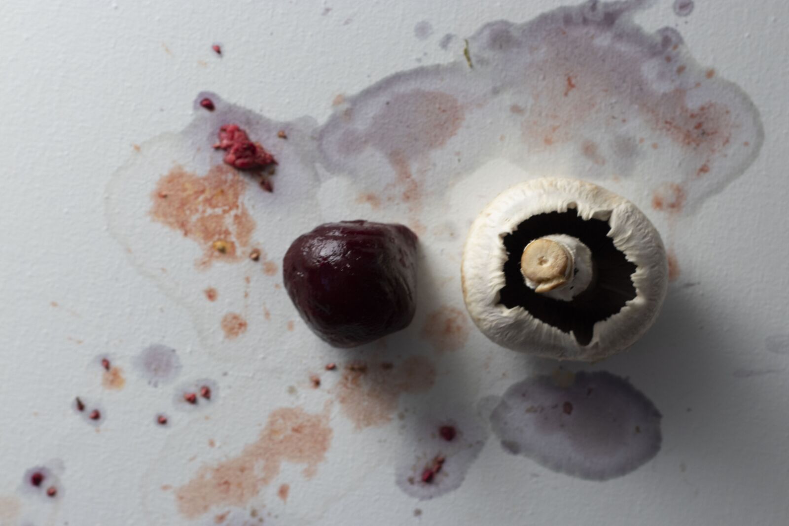 Canon EF 50mm F1.8 II sample photo. Mushrooms, vegetable, ally photography