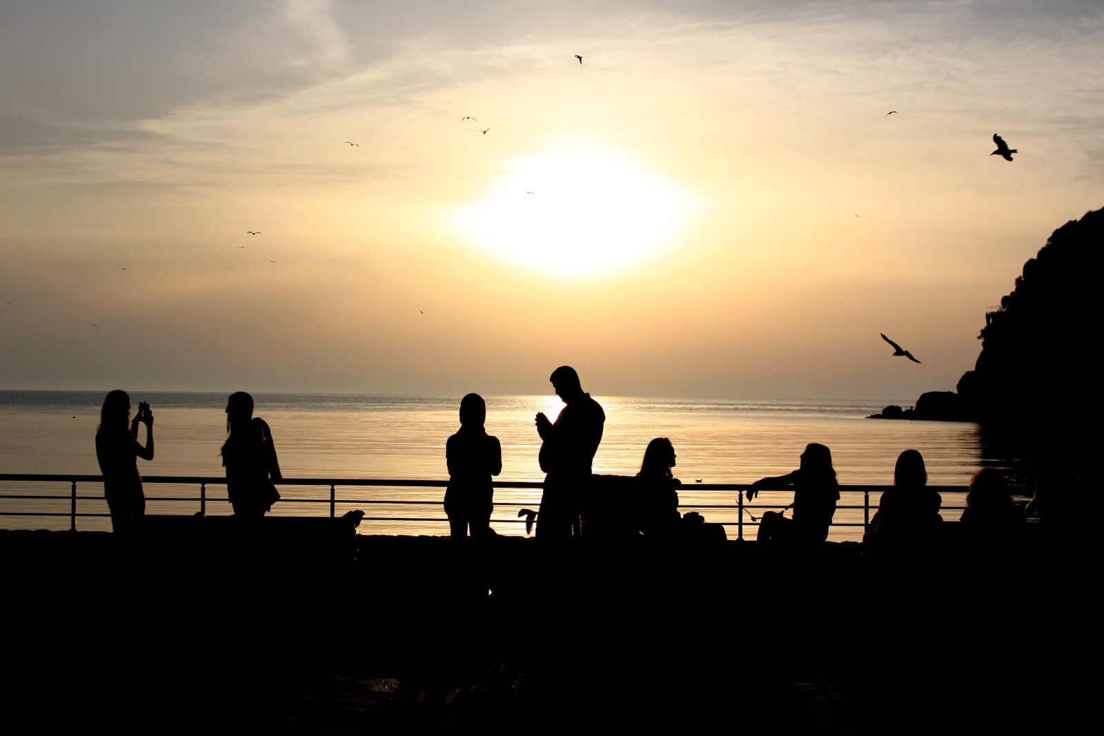 Canon EOS 500D (EOS Rebel T1i / EOS Kiss X3) sample photo. Silhouette, sunset, sky photography