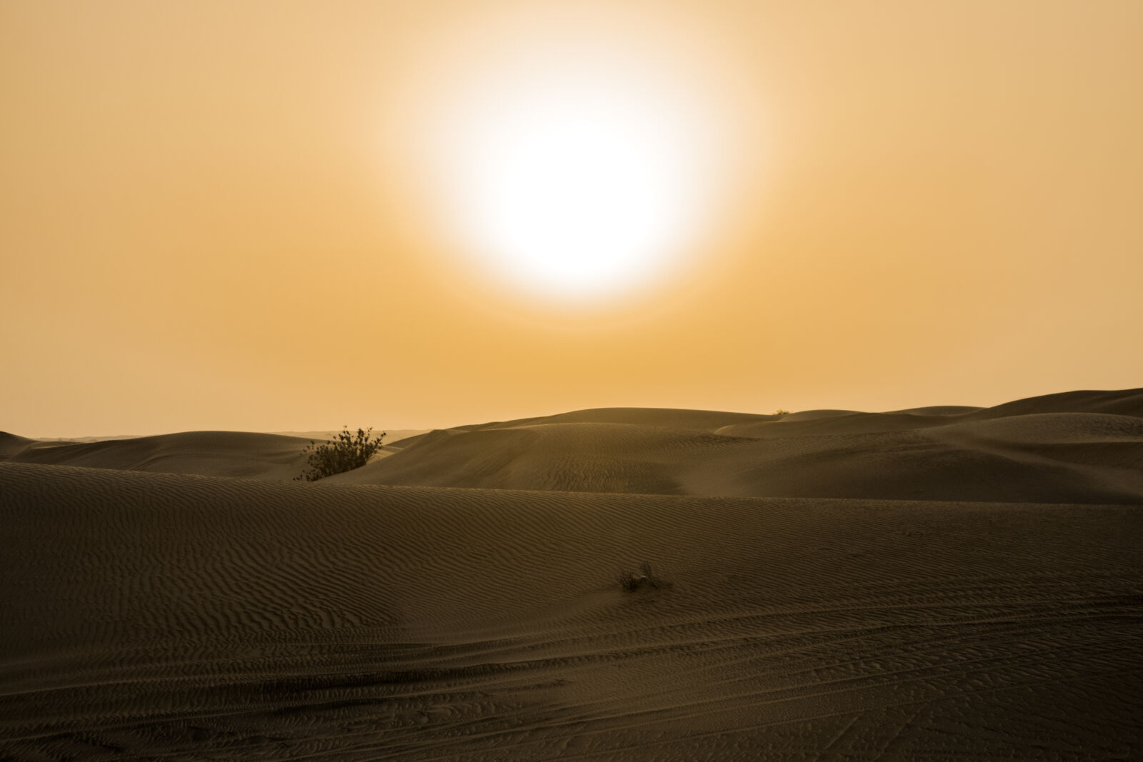 Canon EOS 80D sample photo. Desert, under, yellow, sunset photography