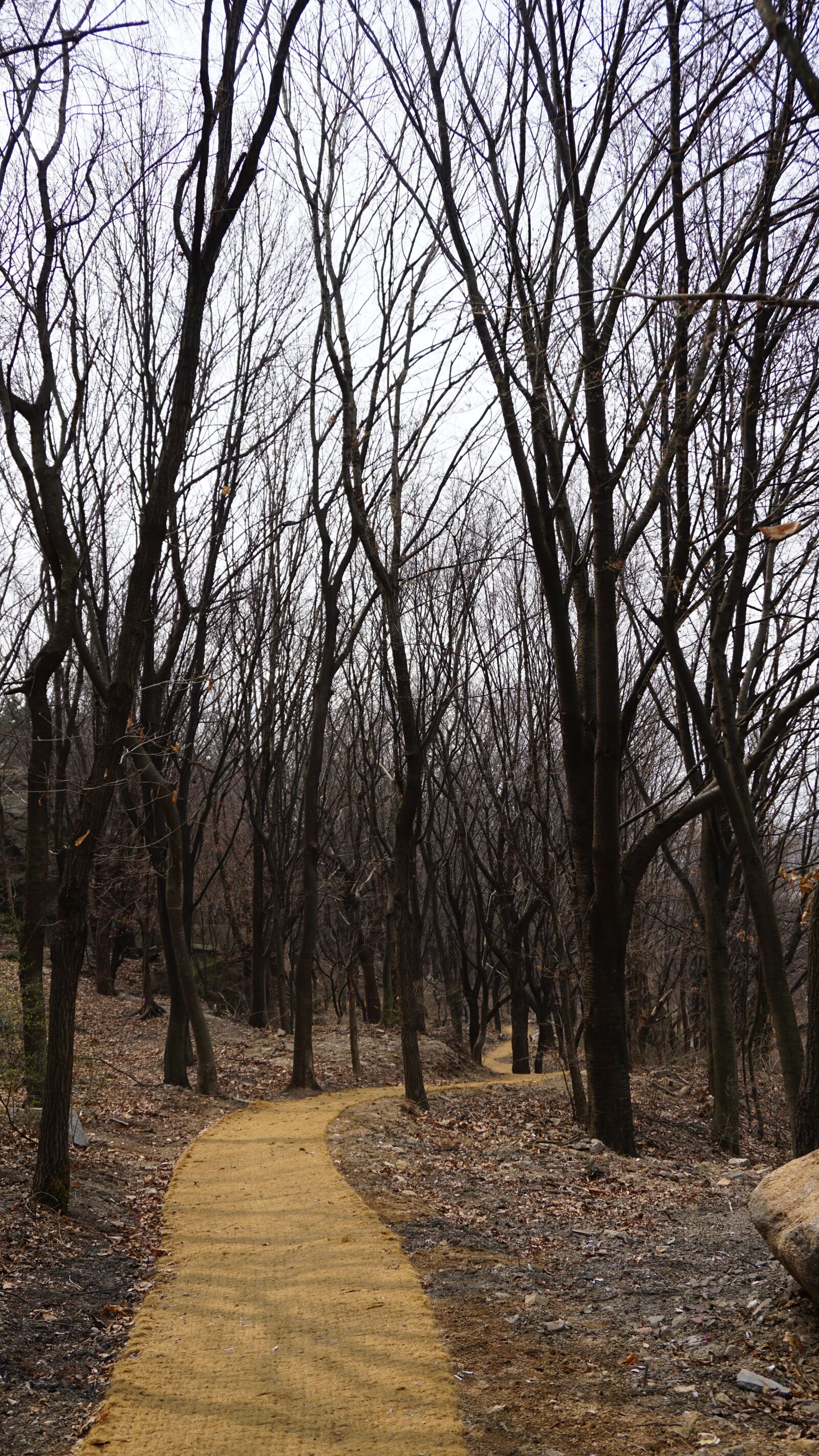 Sony a6000 sample photo. Bulamsan, korea, esplanade photography