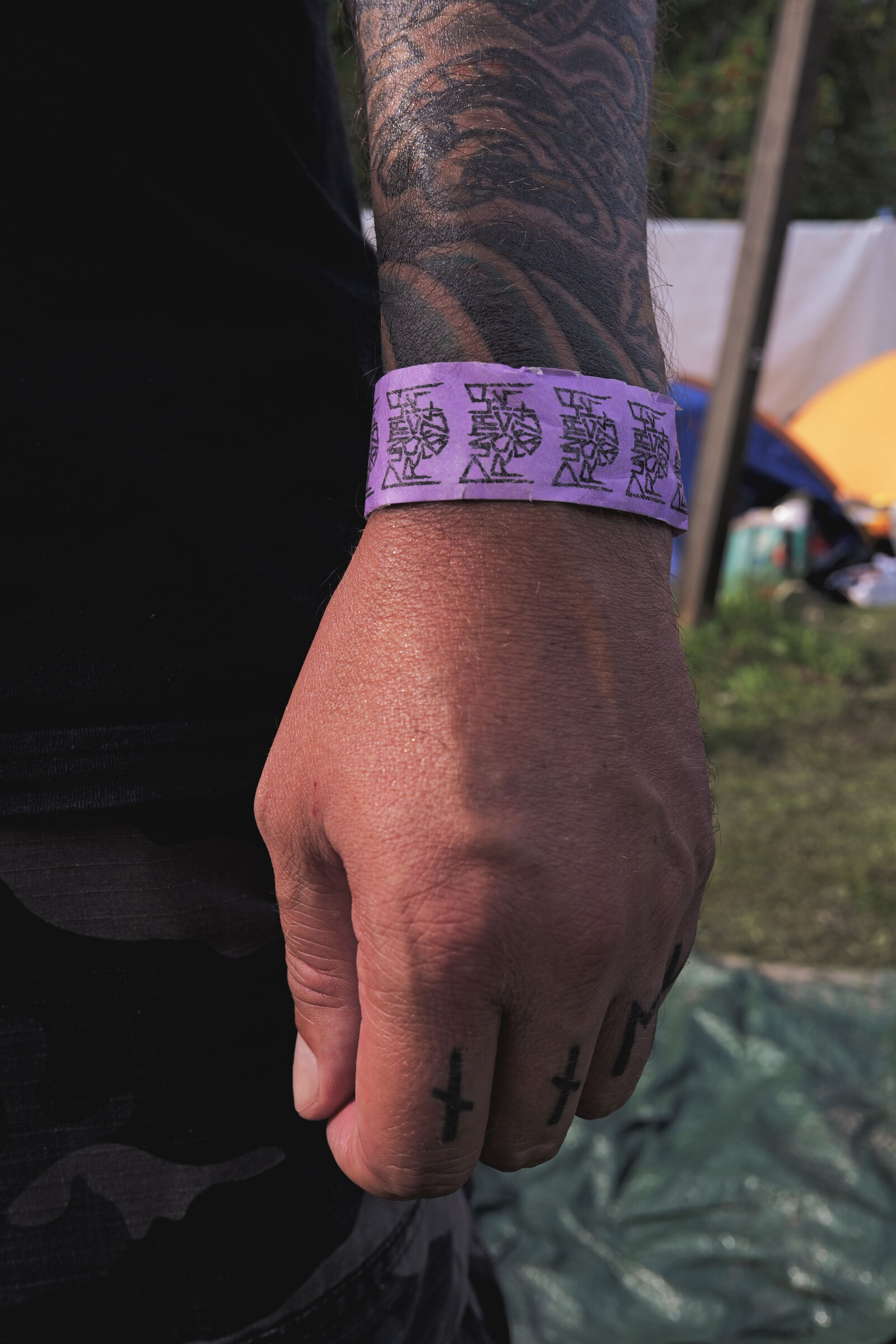 Panasonic Lumix DC-S9 sample photo. Hand of festival goer photography