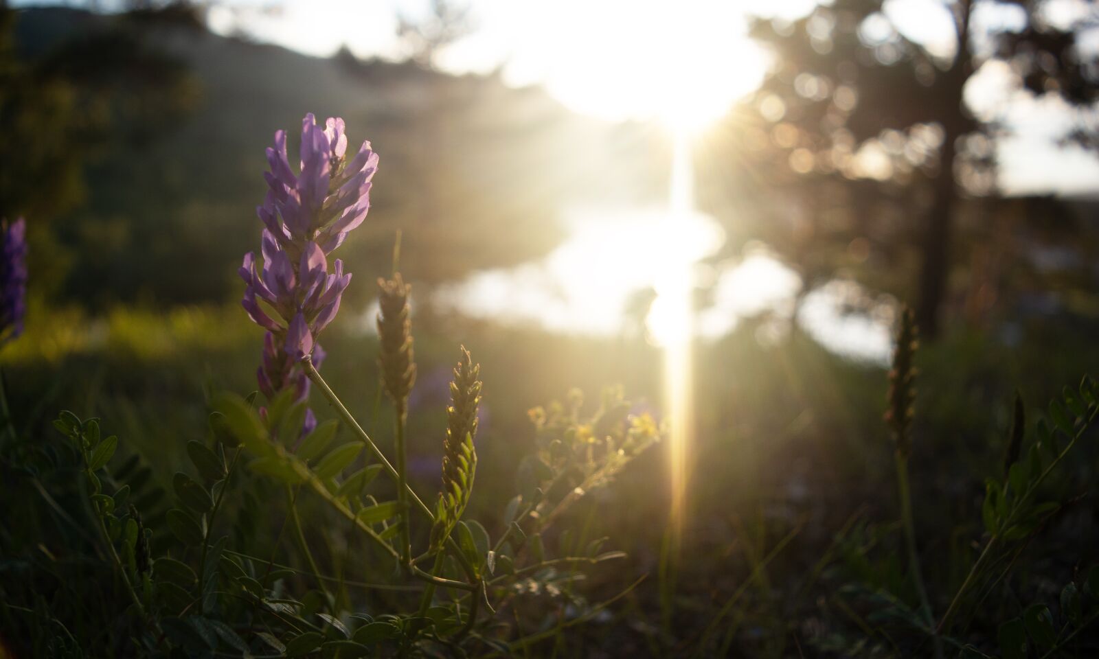 Nikon D5200 sample photo. Sunset, river, landscape photography