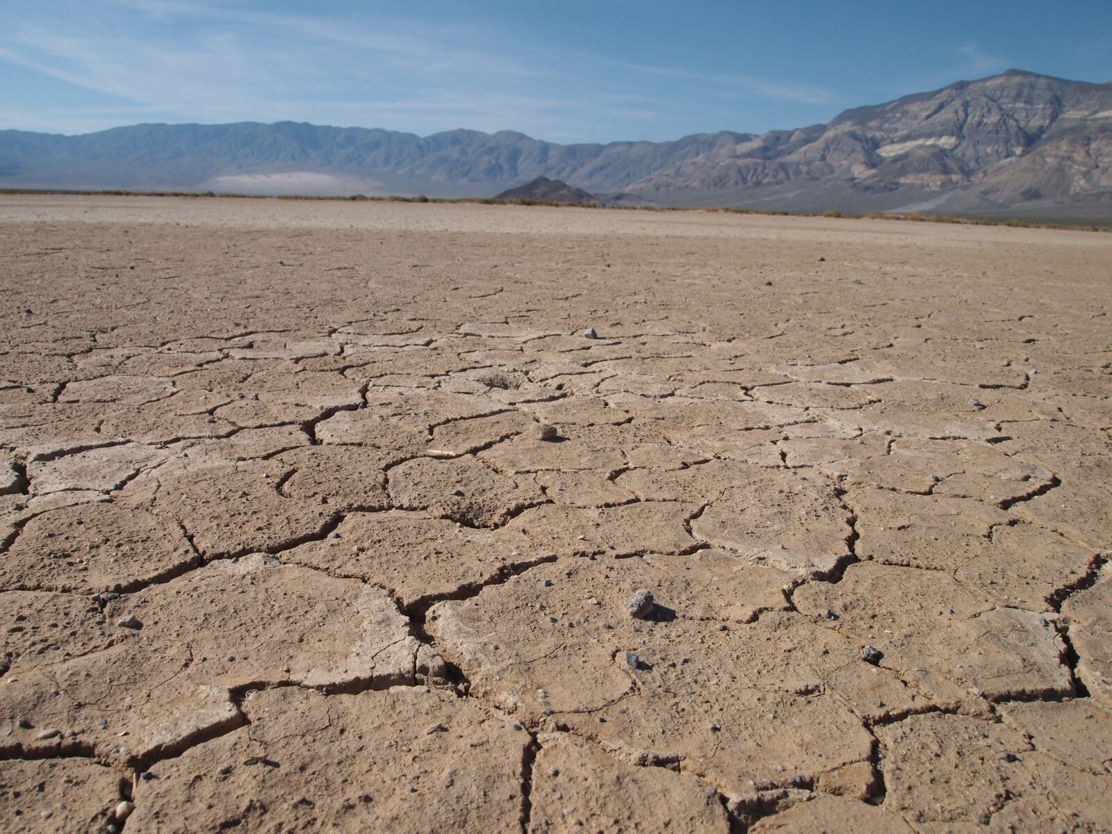 Olympus PEN E-PL1 sample photo. Desert, california, dry photography