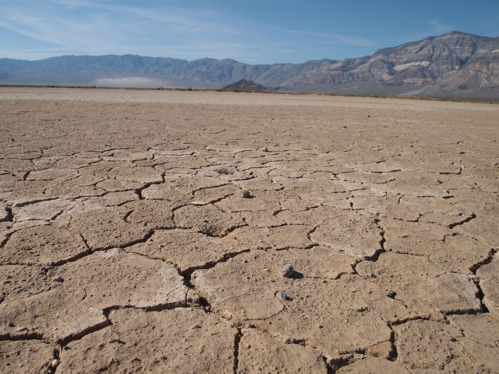 Olympus PEN E-PL1 sample photo. Desert, california, dry photography