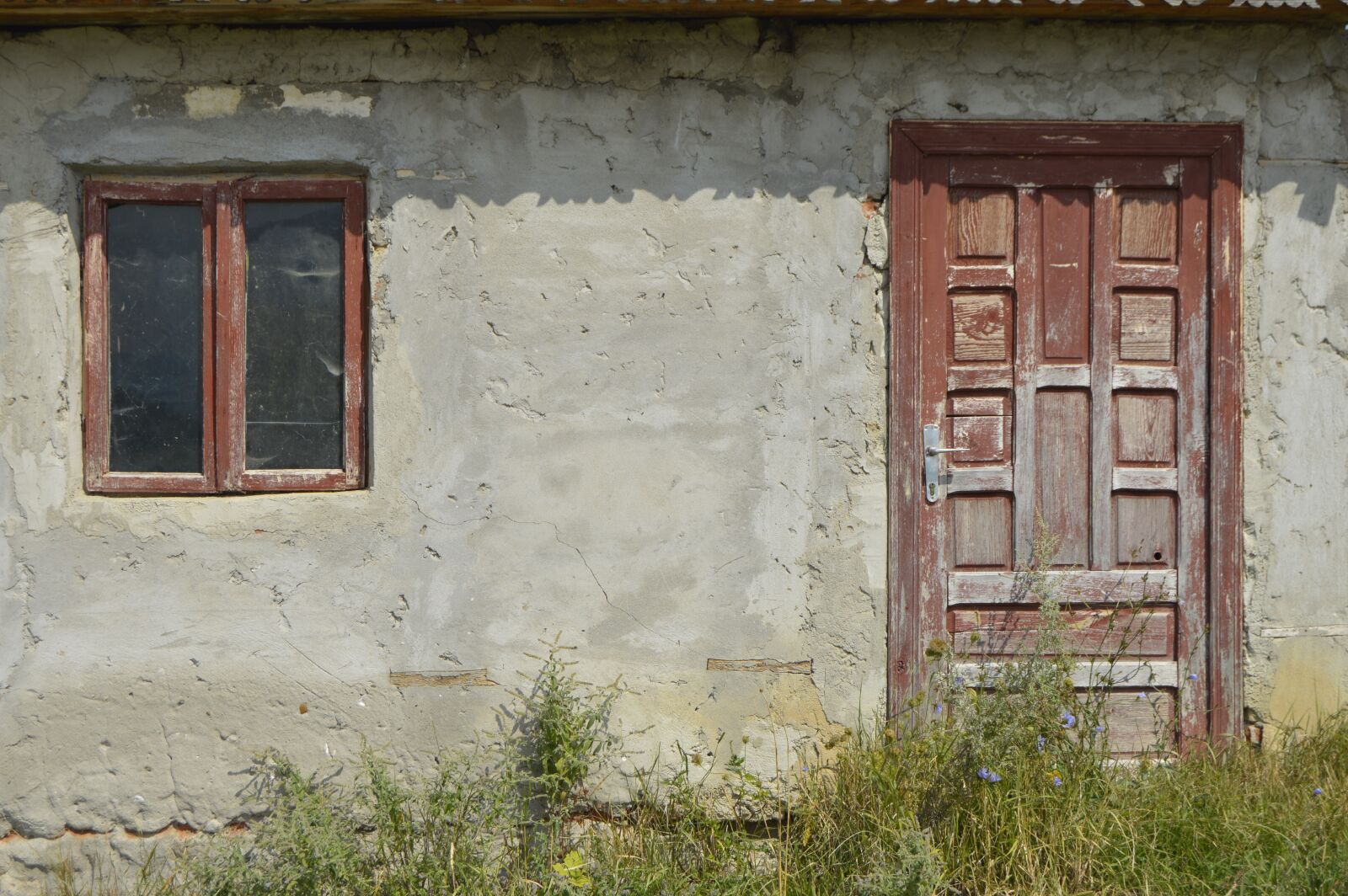 Nikon D3200 sample photo. Nature, romania, woe photography