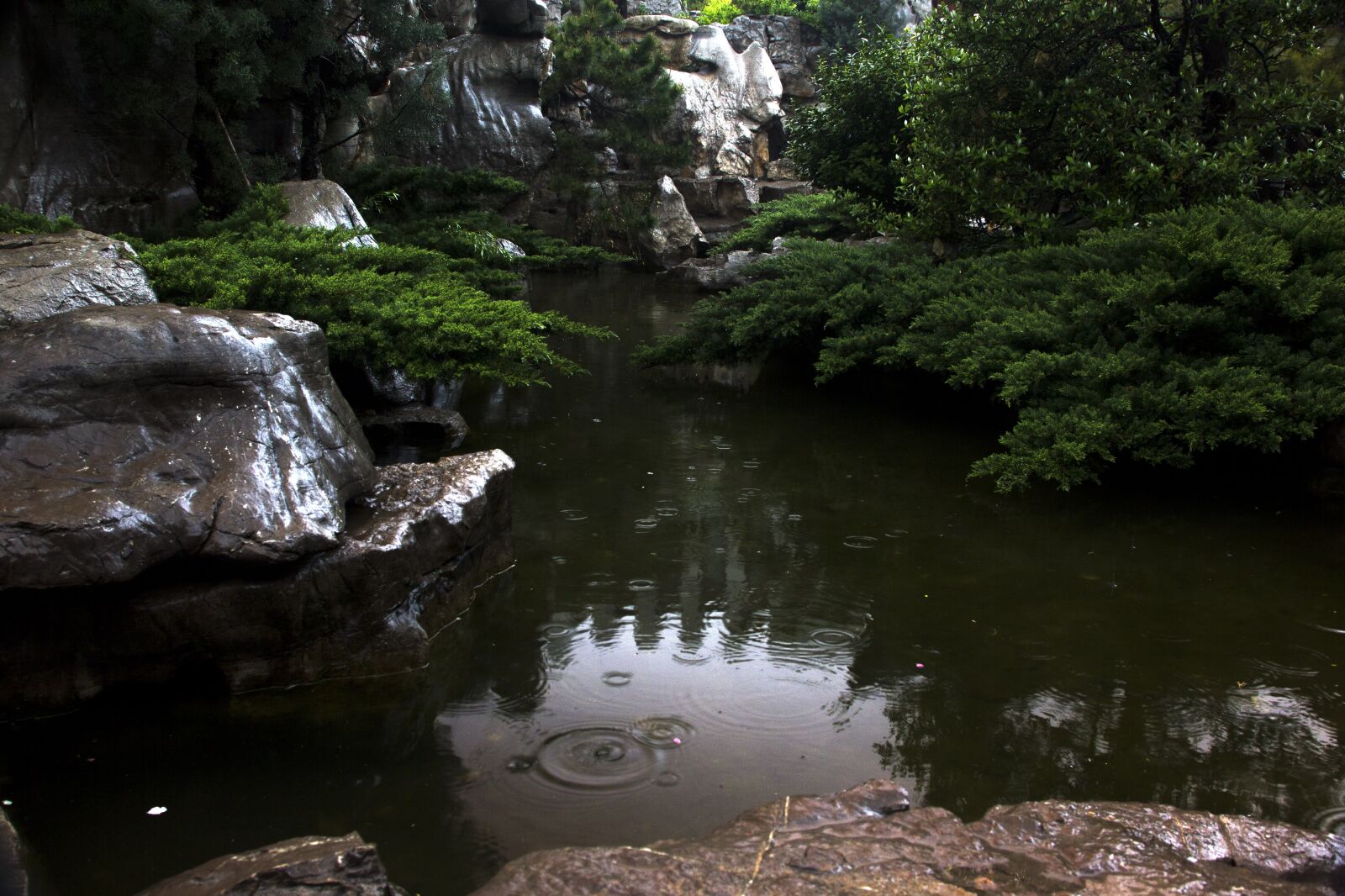 Canon EOS 60D sample photo. Lake, water, tree photography