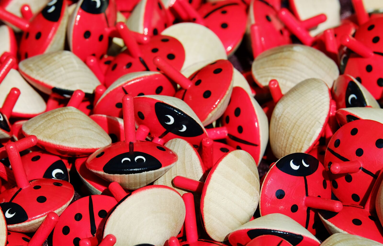 Fujifilm XF 55-200mm F3.5-4.8 R LM OIS sample photo. Roundabout, wood gyro, ladybug photography