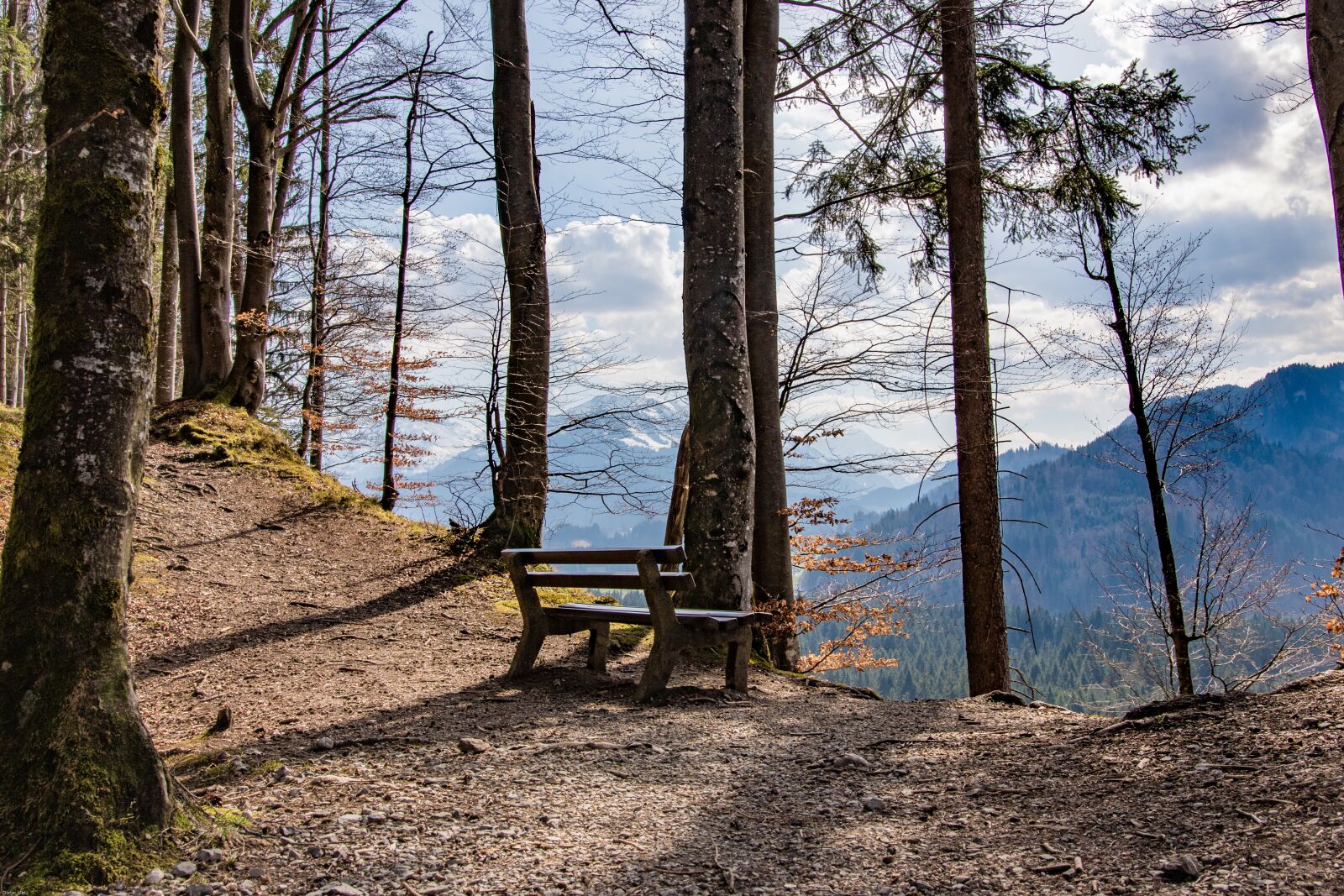 Canon EOS 7D Mark II sample photo. Mountain forests, mountains, view photography