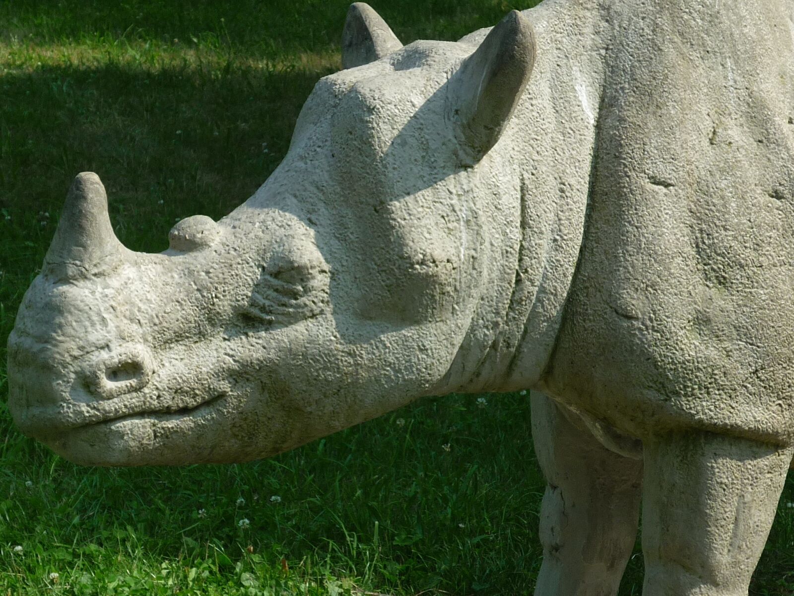 Panasonic Lumix DMC-FS6 sample photo. Rhino, stone figure, meadow photography