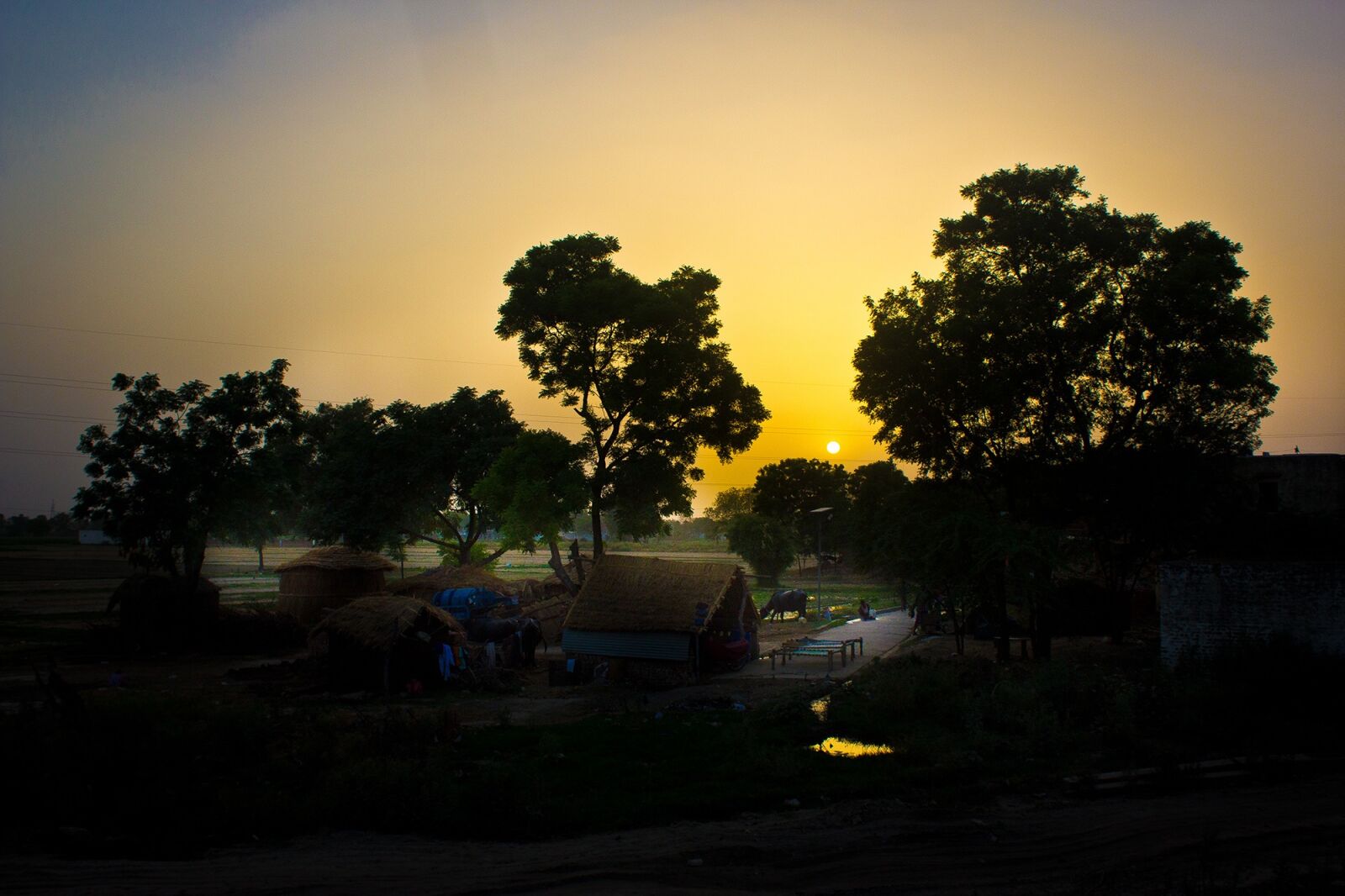 Canon EOS 60D sample photo. Sunset, india, village photography