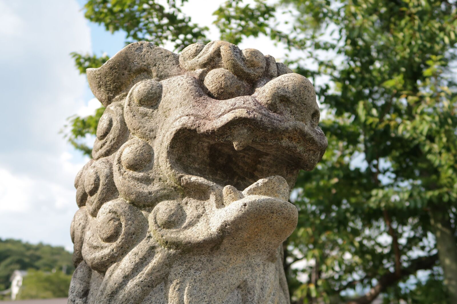 Canon PowerShot G7 X Mark II sample photo. Guardian dogs, stone statues photography