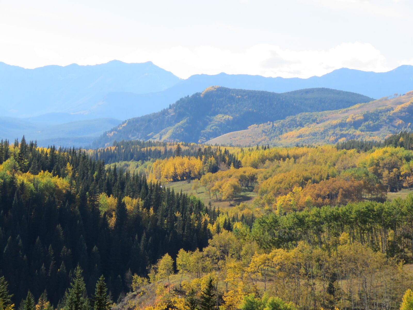 Canon PowerShot SX60 HS sample photo. Forest, mountains, autumn photography