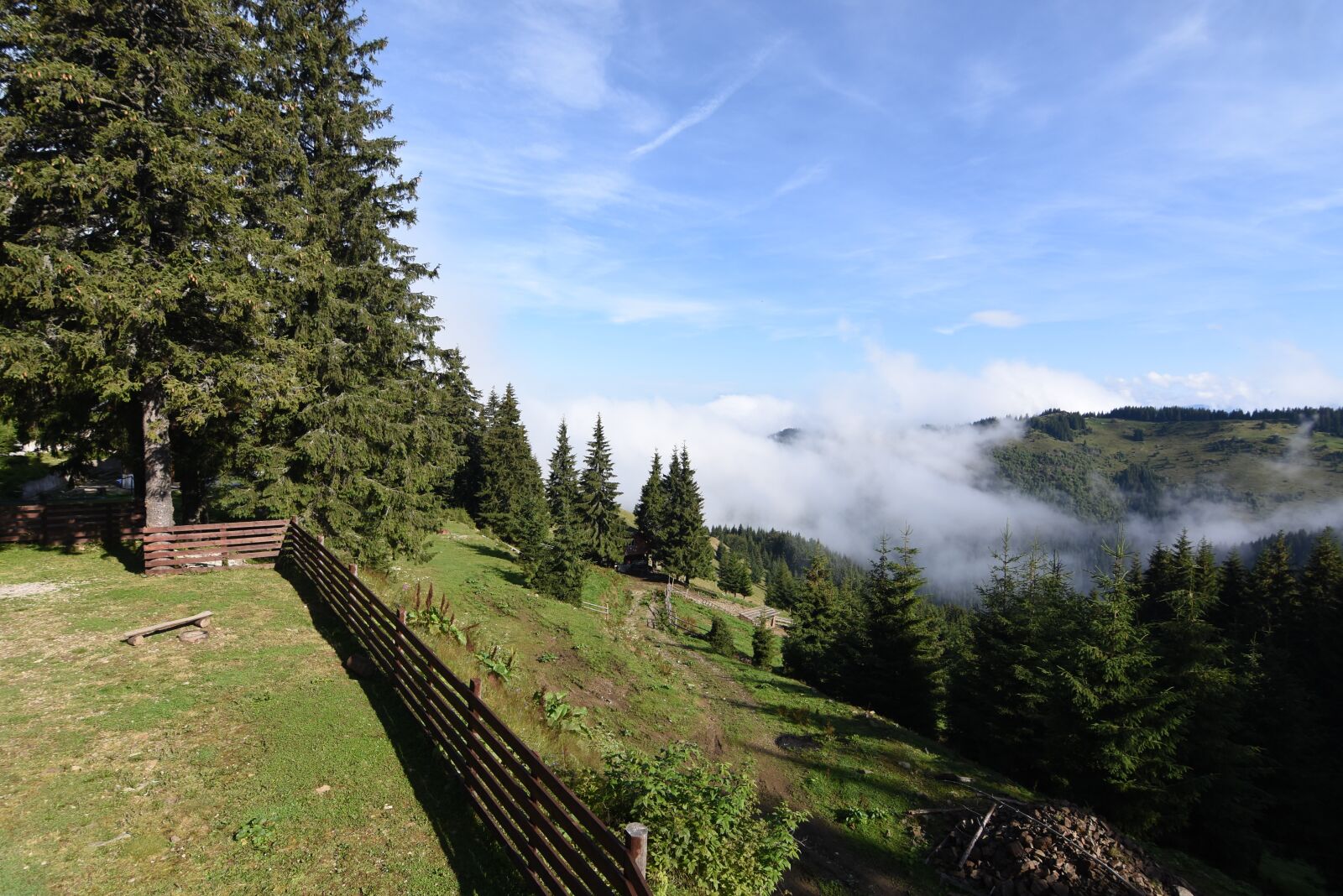 Nikon D7200 sample photo. Parang, mountains, romania photography