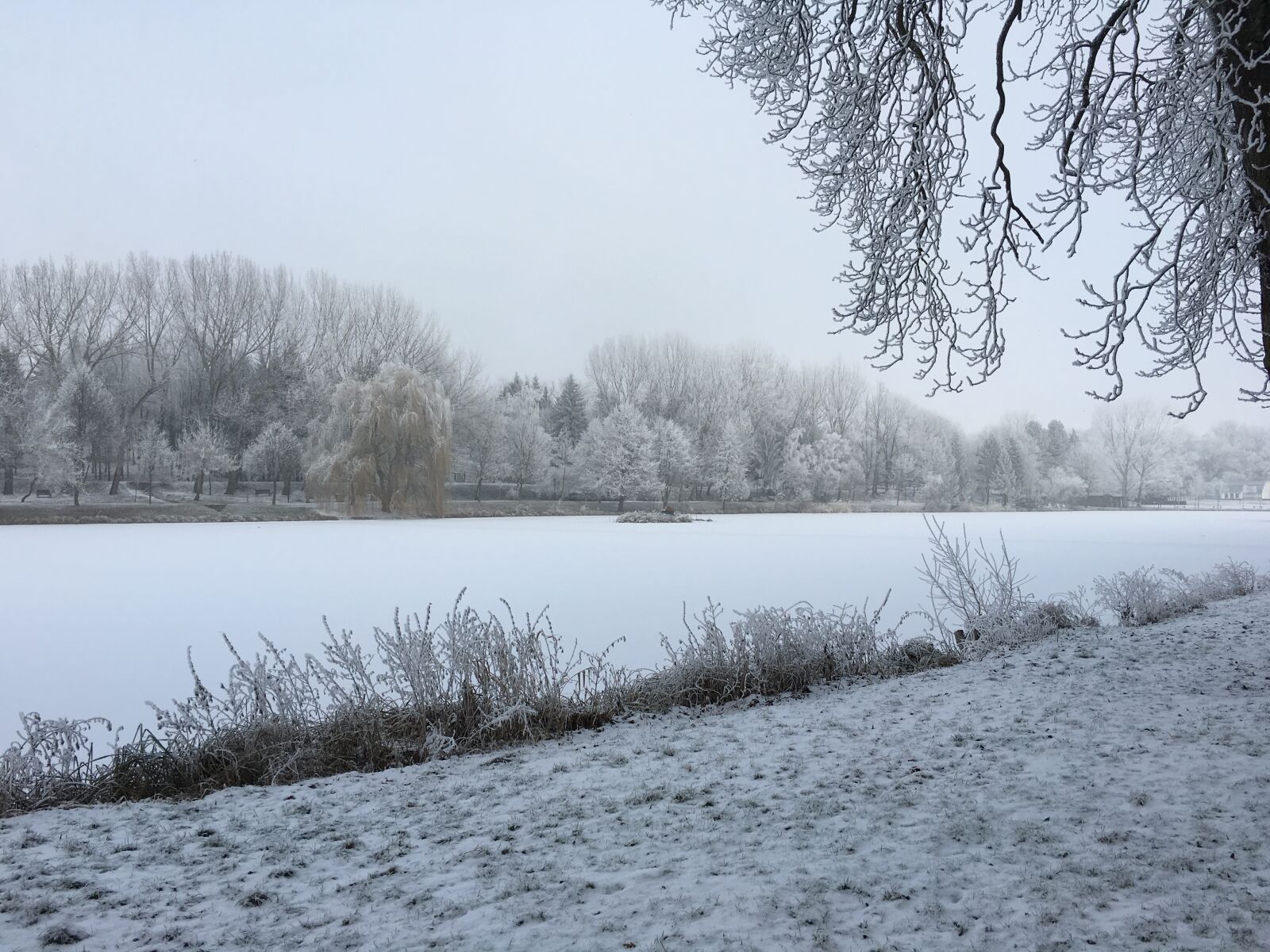 Apple iPhone 6s sample photo. Ice, lake, winter photography