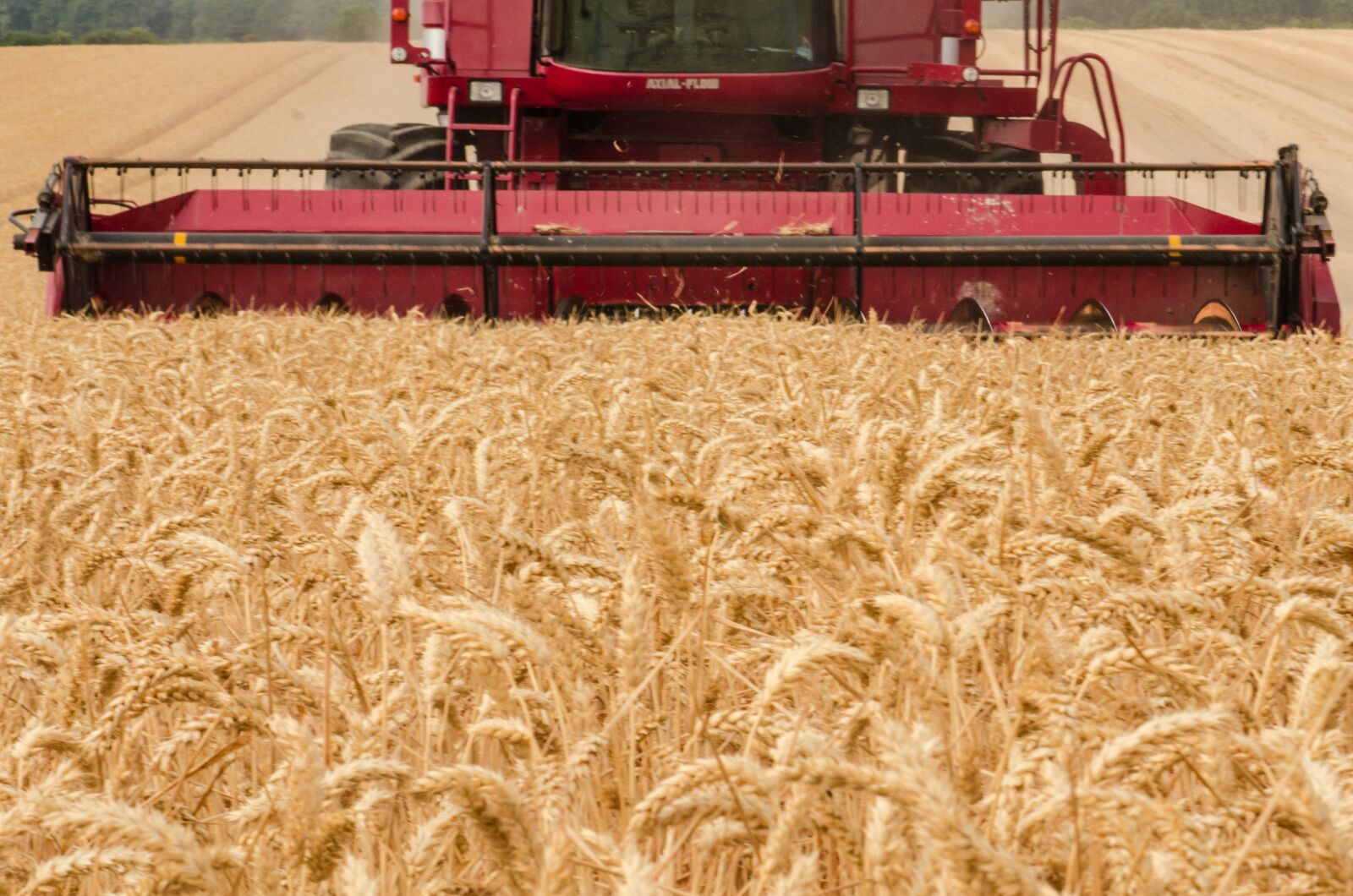 Nikon D7000 sample photo. Harvester, tractor, wheat photography