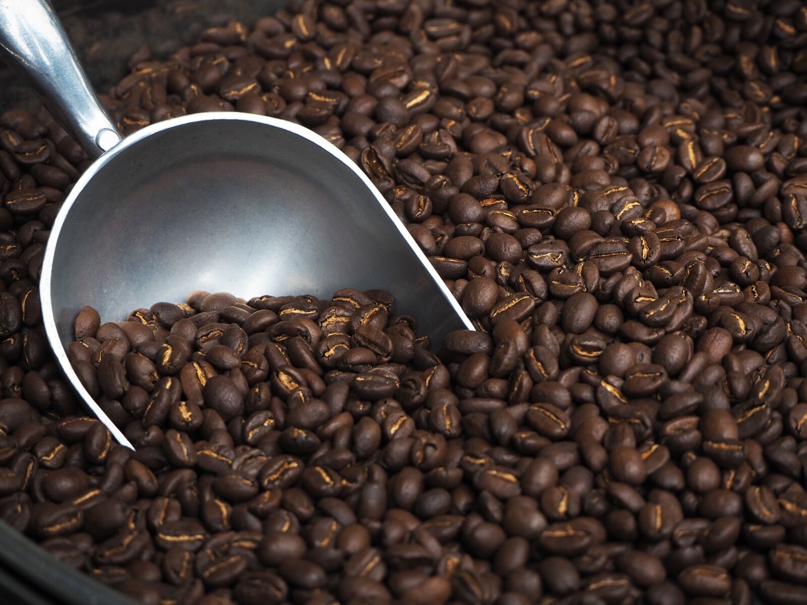 Olympus OM-D E-M10 III sample photo. Coffee, coffee beans, natural photography