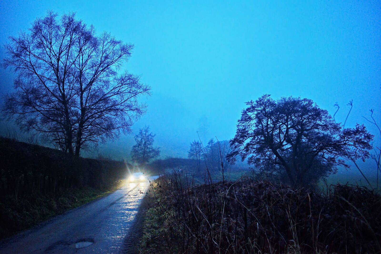 Nikon D3300 sample photo. Lost in the fog photography