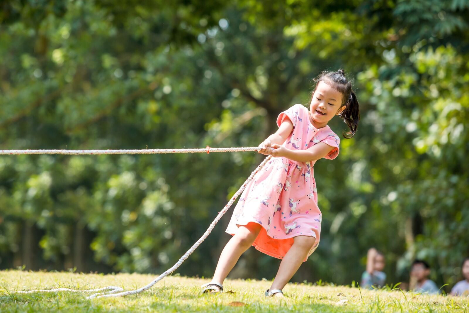 Canon EF 70-200mm F2.8L USM sample photo. Kids, play, pull the photography