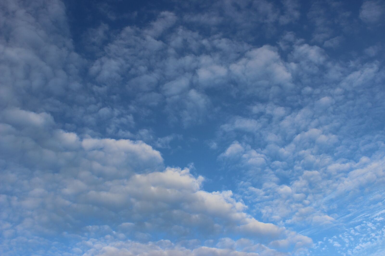 Canon EOS 600D (Rebel EOS T3i / EOS Kiss X5) sample photo. Clouds, sky, blue photography