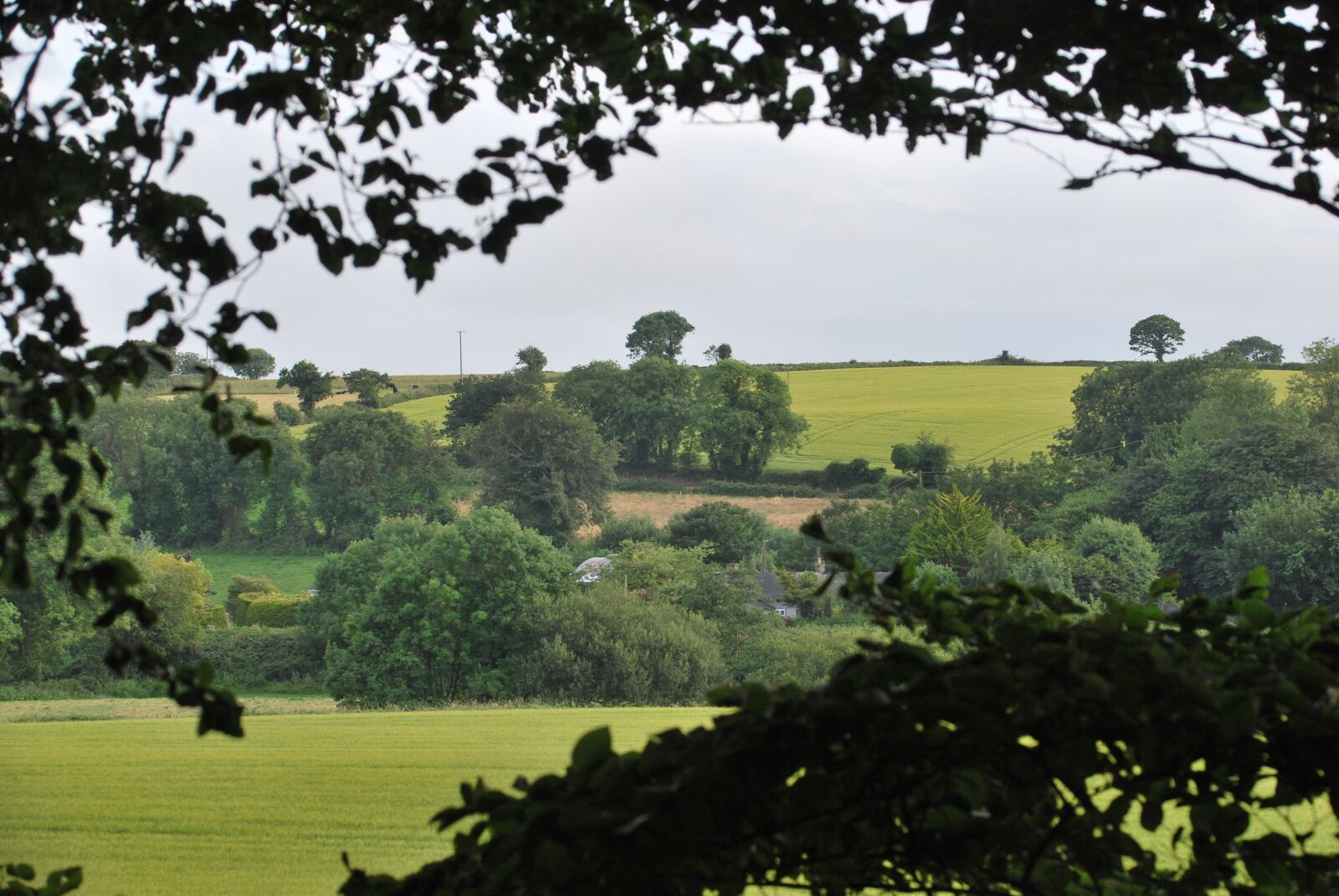 Nikon D60 sample photo. Landscape, ireland, nature photography