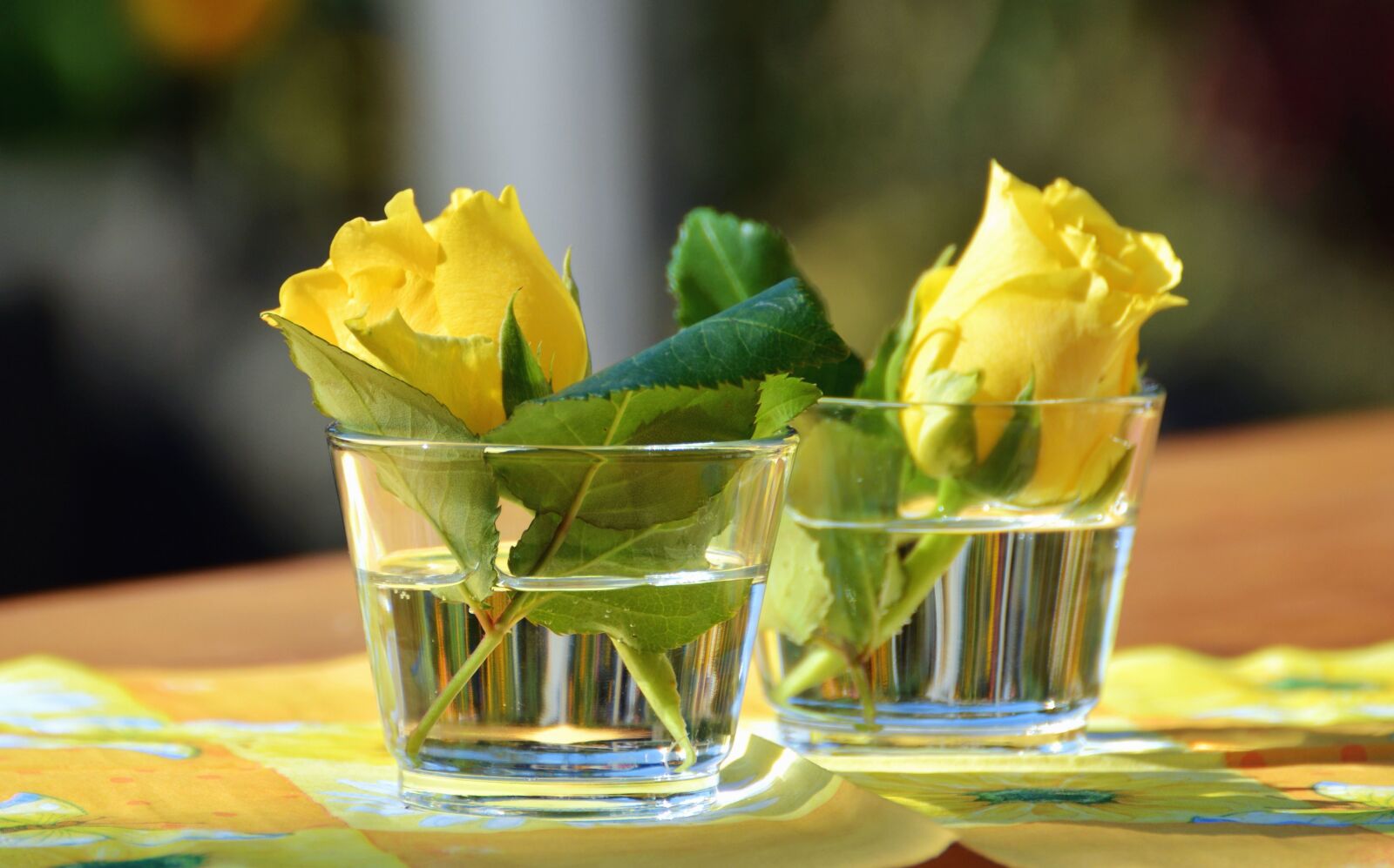 Nikon D5200 sample photo. Rose, glass, water, flower photography