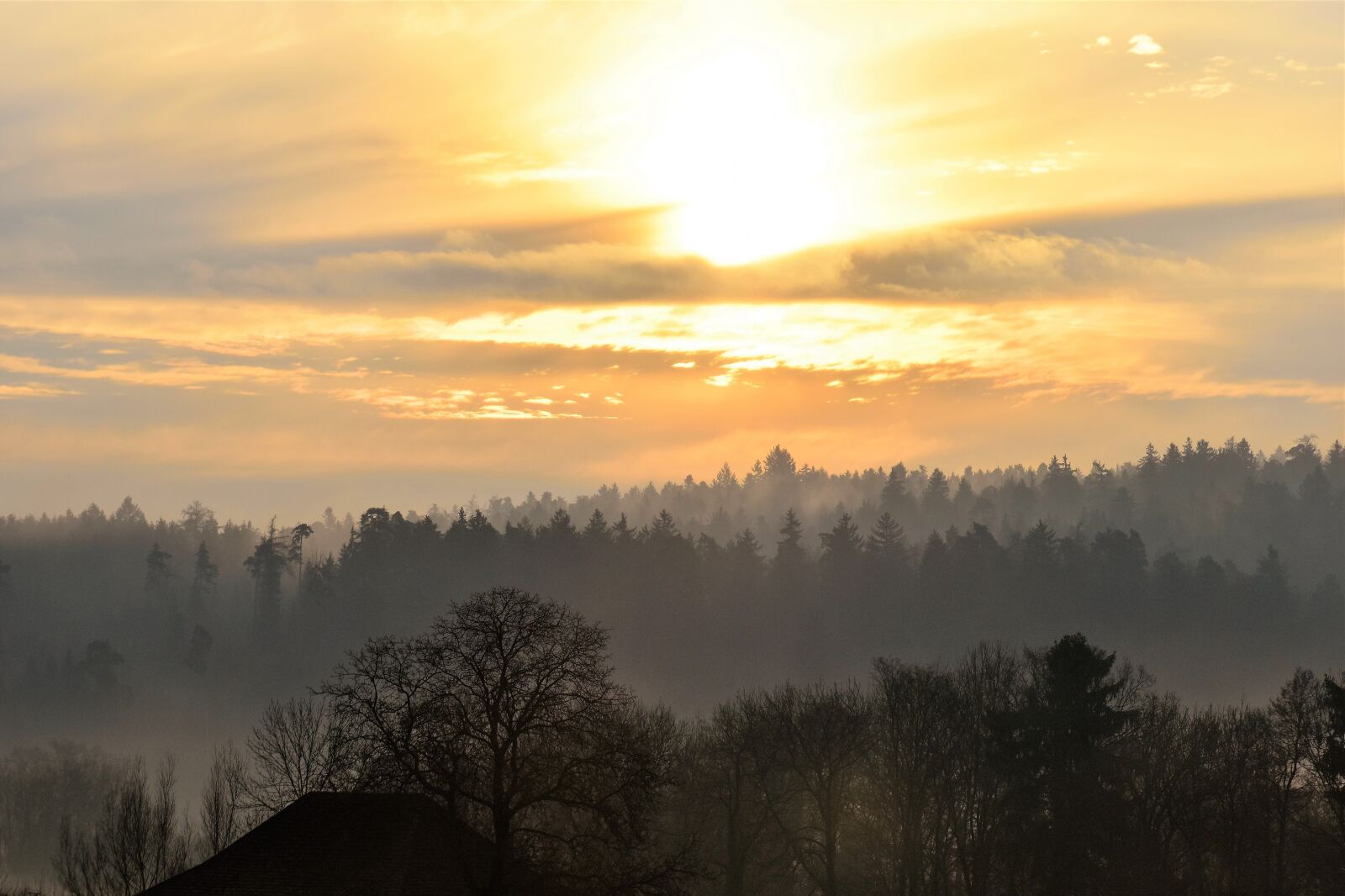 Nikon D5500 sample photo. Landscape, morgenrot, autumn photography