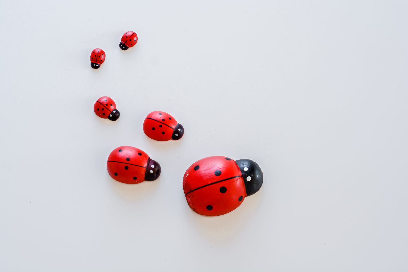 Nikon D7100 sample photo. Insects, ladybird beetle, red photography