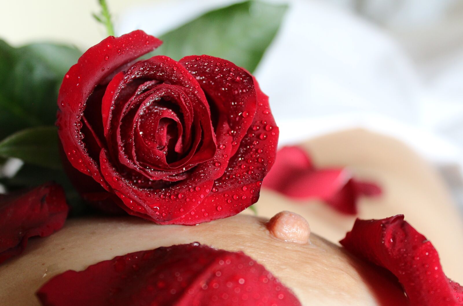 Canon EOS 600D (Rebel EOS T3i / EOS Kiss X5) sample photo. Nipple, breast, rose photography