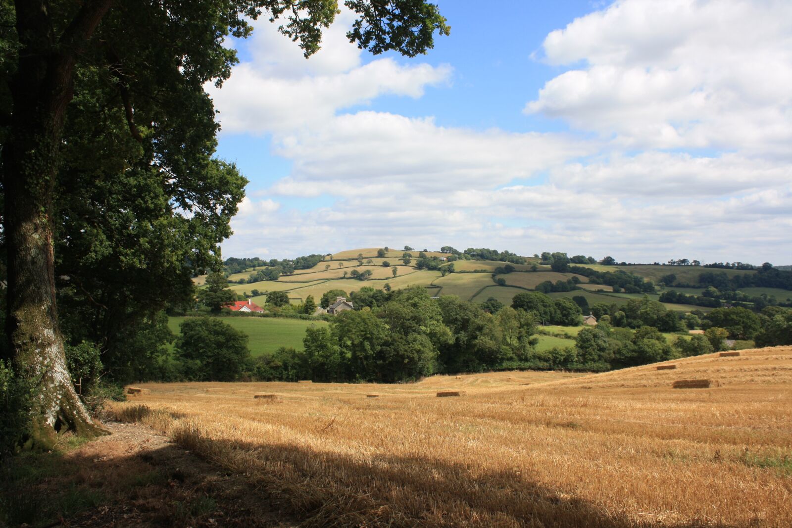 Canon EOS 1000D (EOS Digital Rebel XS / EOS Kiss F) sample photo. Harvest, summer, landscape photography