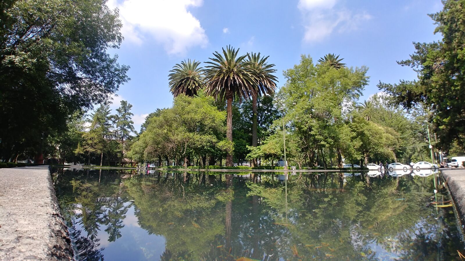 LG G6 sample photo. Park, source, garden photography