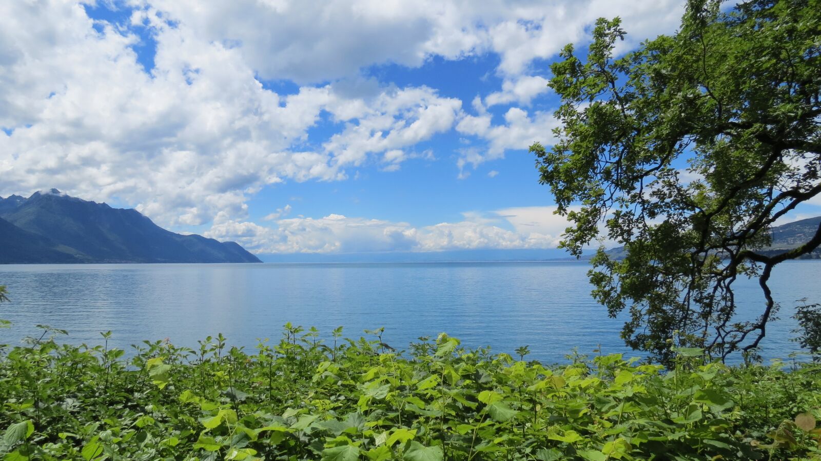Canon PowerShot SX40 HS sample photo. Lake geneva, geneva, switzerland photography