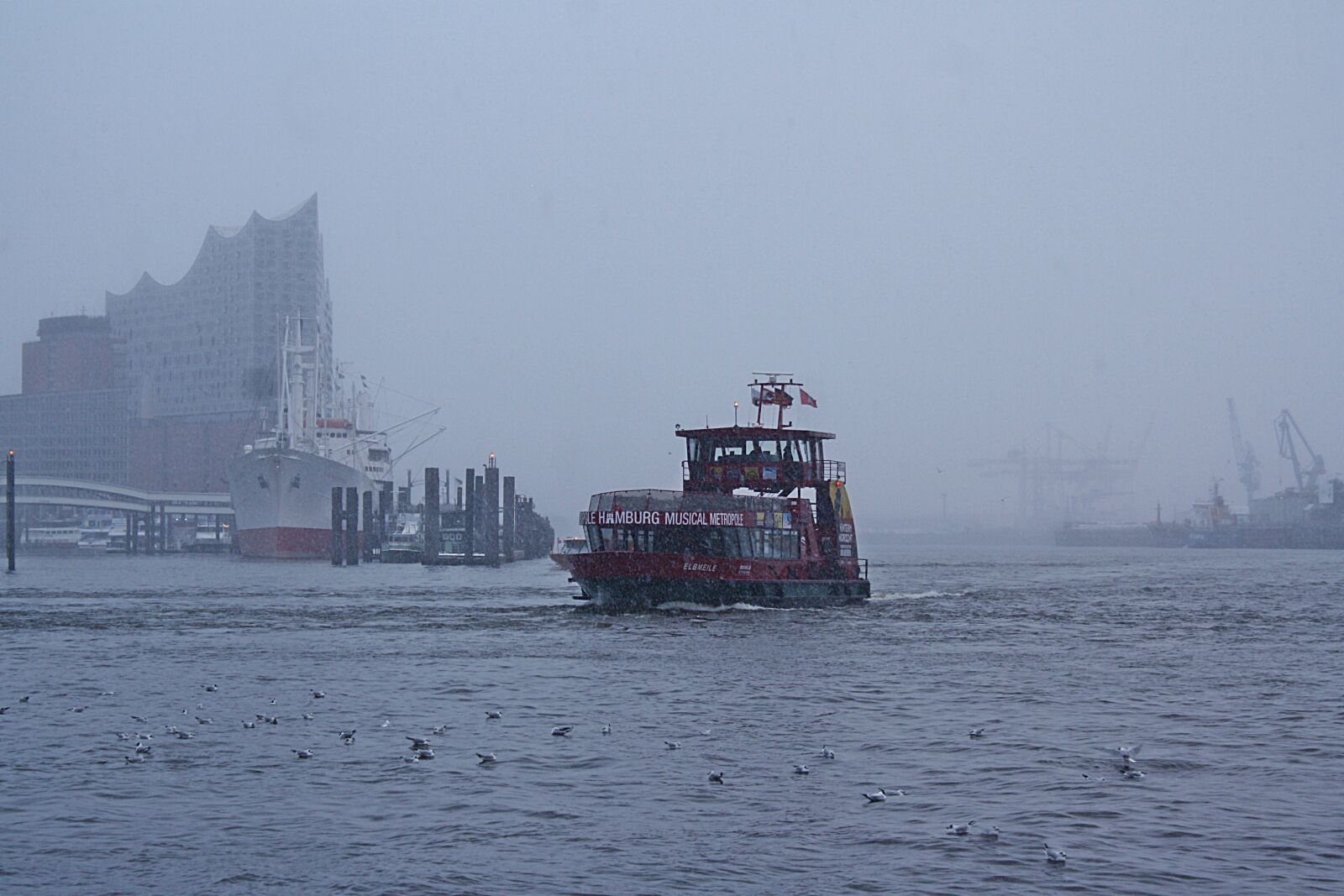 Canon EOS 1000D (EOS Digital Rebel XS / EOS Kiss F) sample photo. Waters, transport system, sea photography
