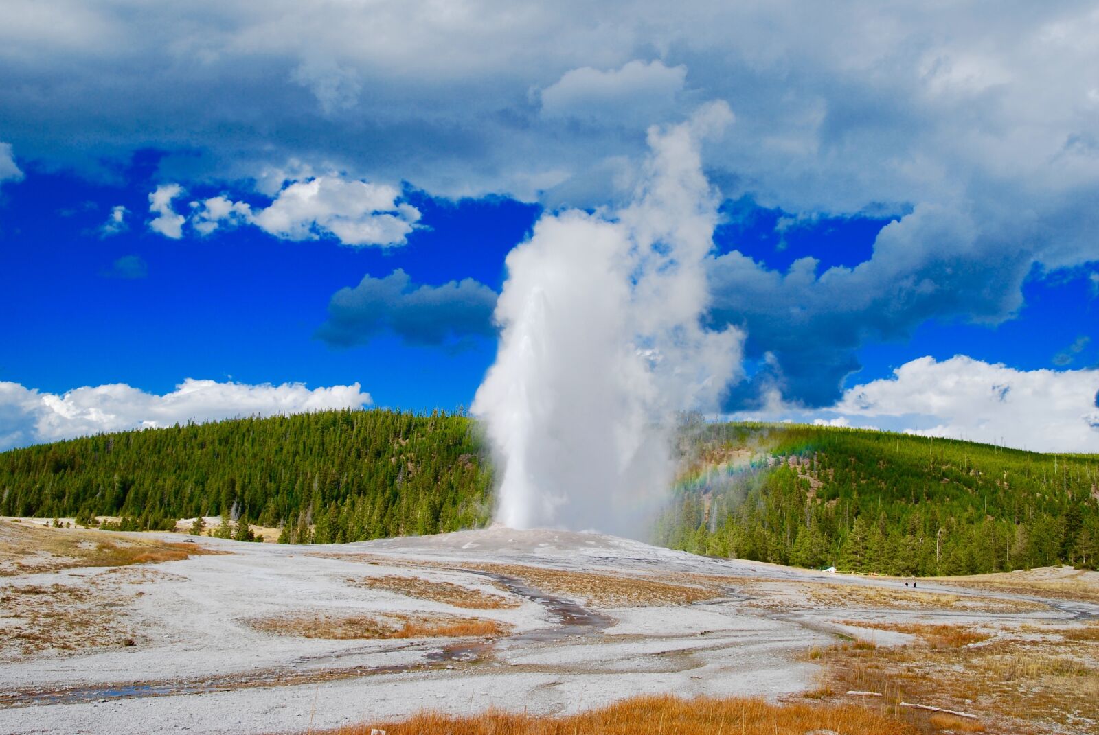 Nikon D60 sample photo. Geyser, aspen, mountains photography