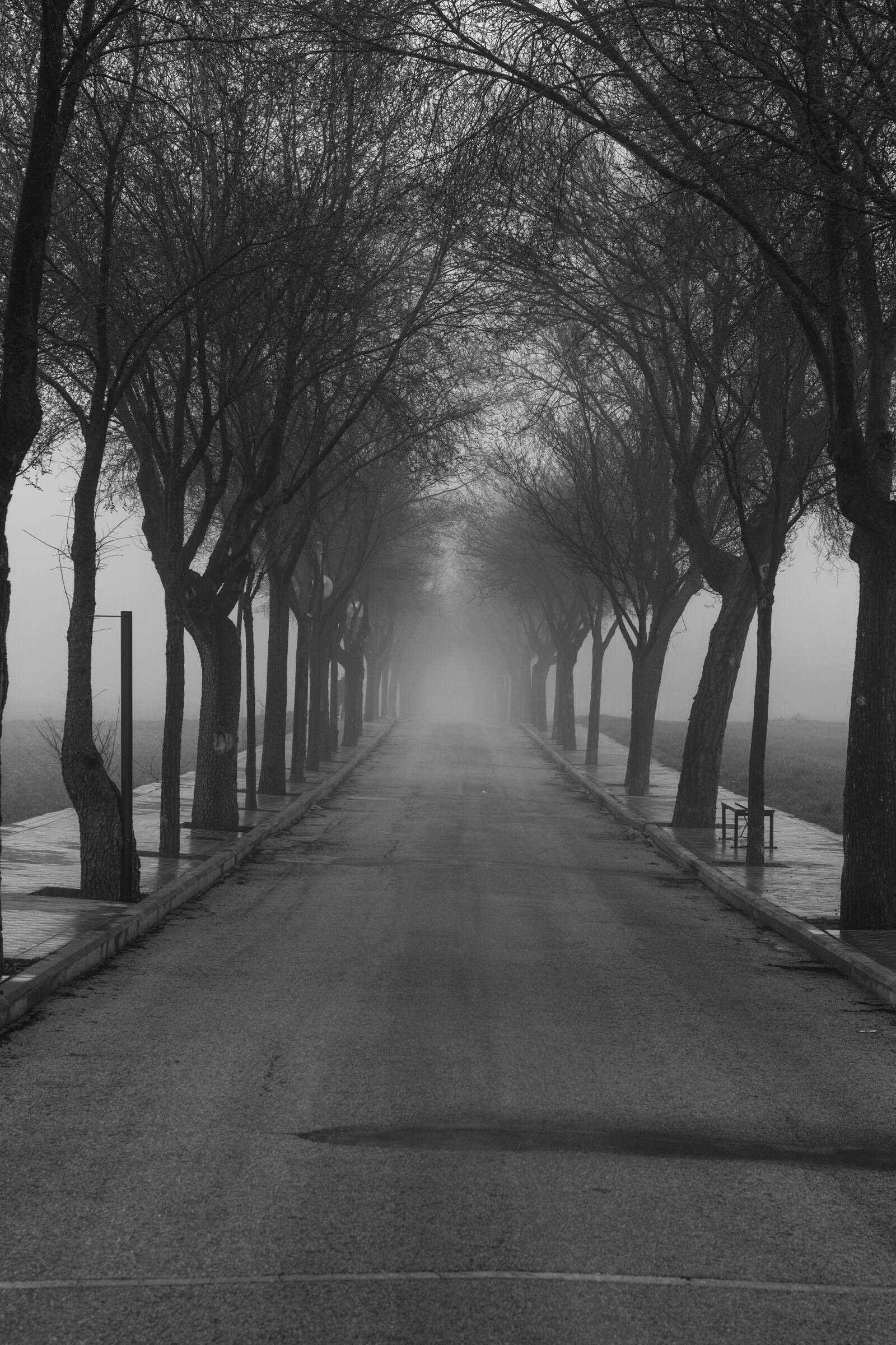 Nikon D5200 sample photo. Street, fog, cold photography