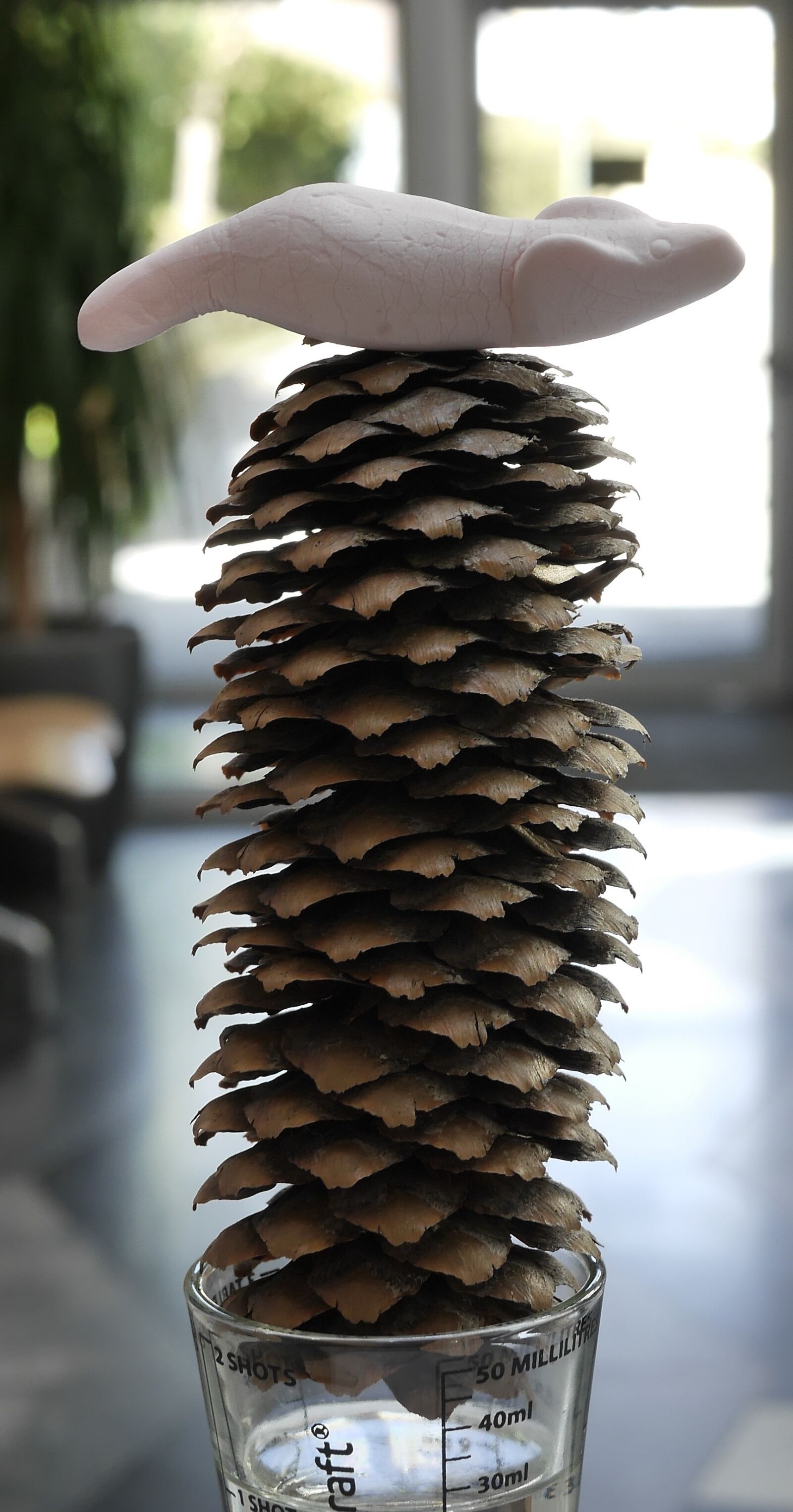 Panasonic Lumix DMC-G6 sample photo. Pine cones, still life photography