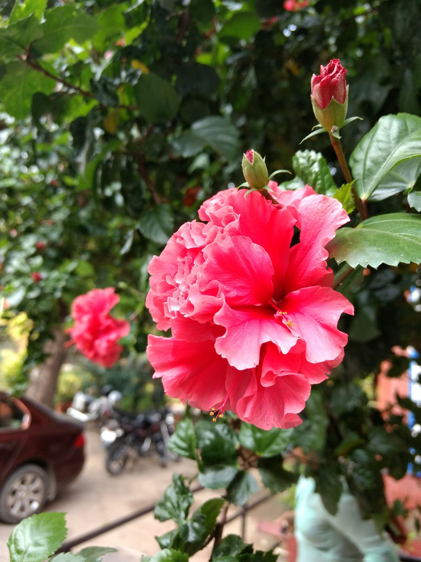 Motorola Moto G (4) sample photo