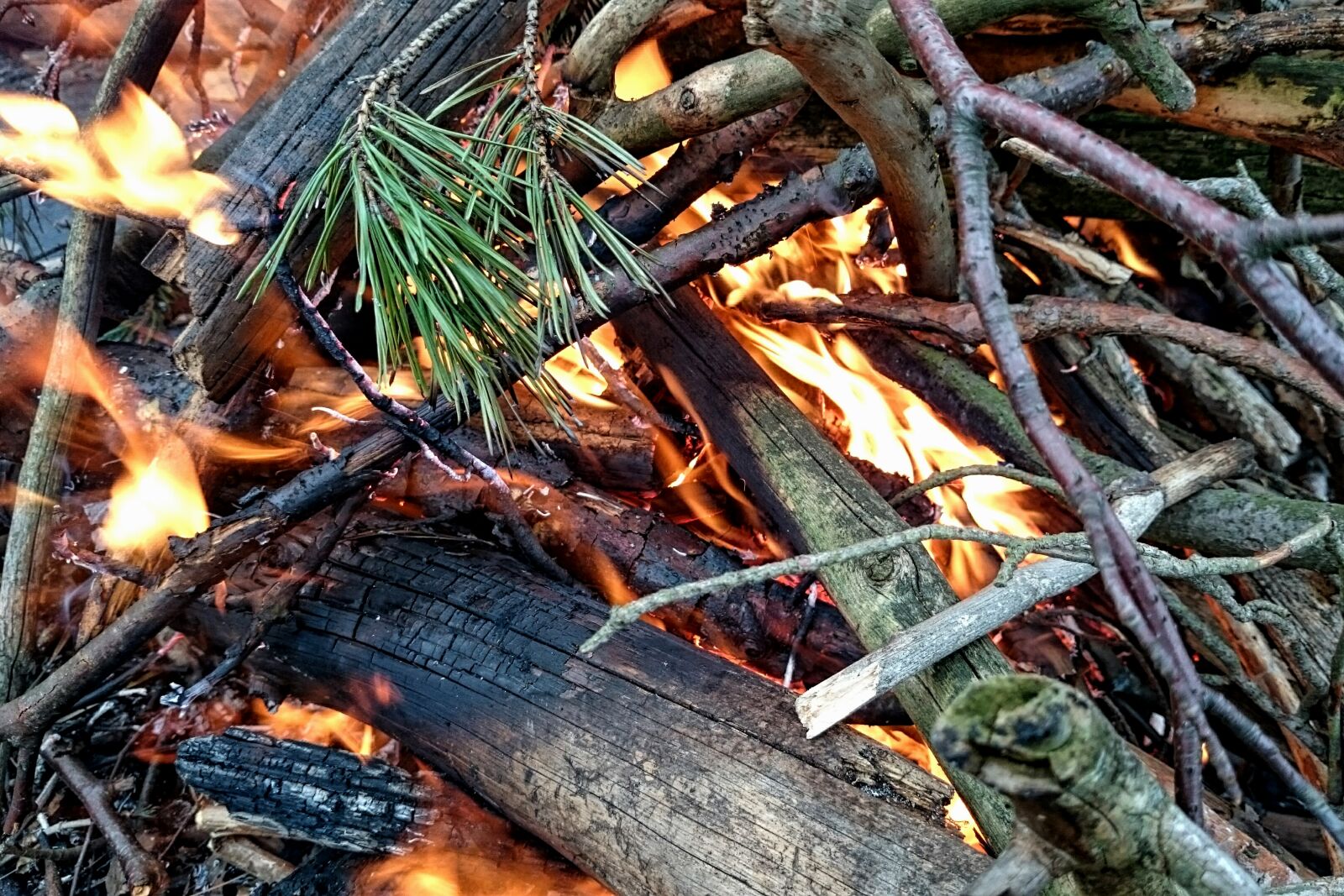 Sony Xperia Z1 sample photo. Bonfire, fire, flames, outdoor photography