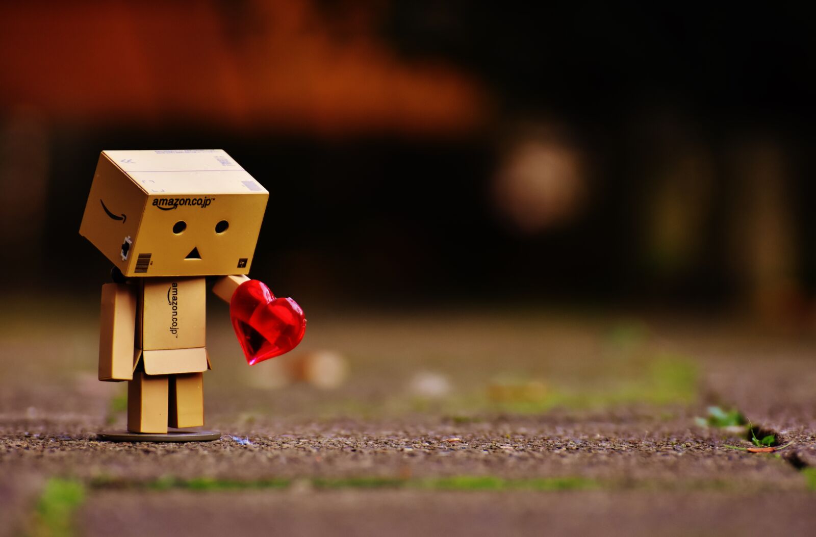 Nikon D7200 sample photo. Danbo, figures, love photography