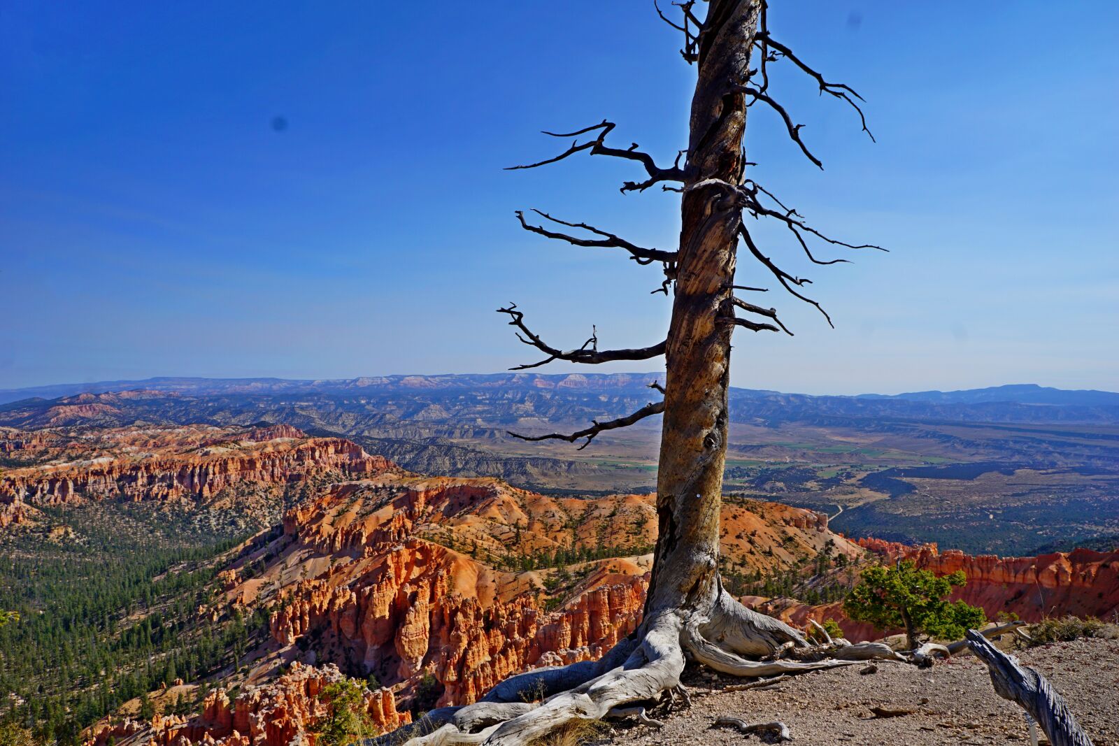 Sony a6000 + Sony E 18-55mm F3.5-5.6 OSS sample photo. Canyon, travel, landscape photography