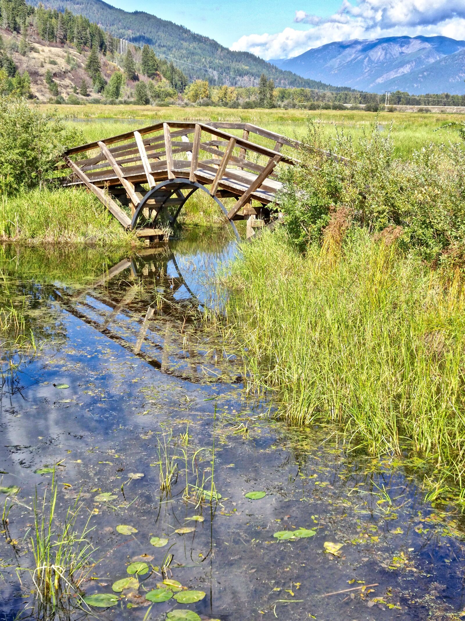 Sony Cyber-shot DSC-HX90V sample photo. Bridge, stream, peaceful photography