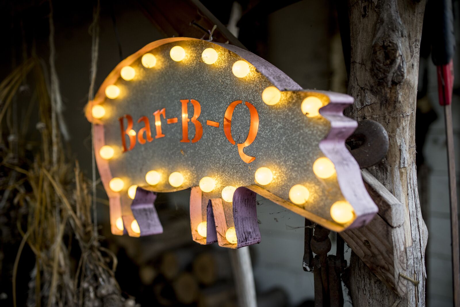 Nikon D810 sample photo. Bbq, pig, barbecue photography