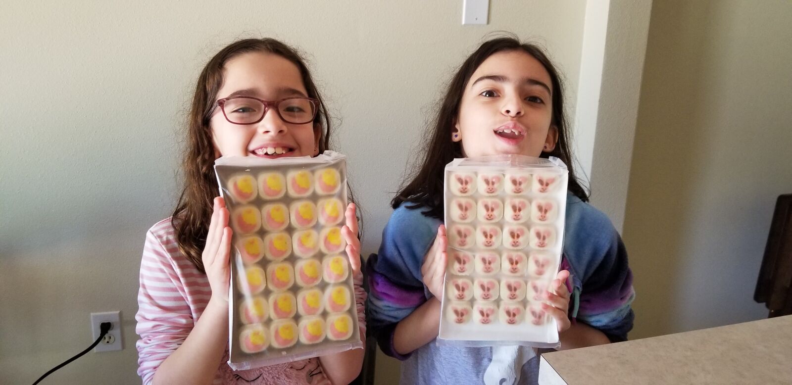 Samsung Galaxy S8 sample photo. Homeschool, kids, twins photography