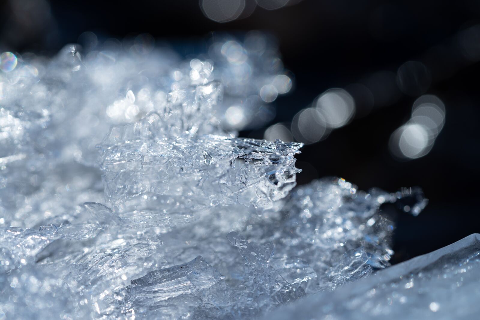 Sony FE 90mm F2.8 Macro G OSS sample photo. Ice, frozen, frost photography