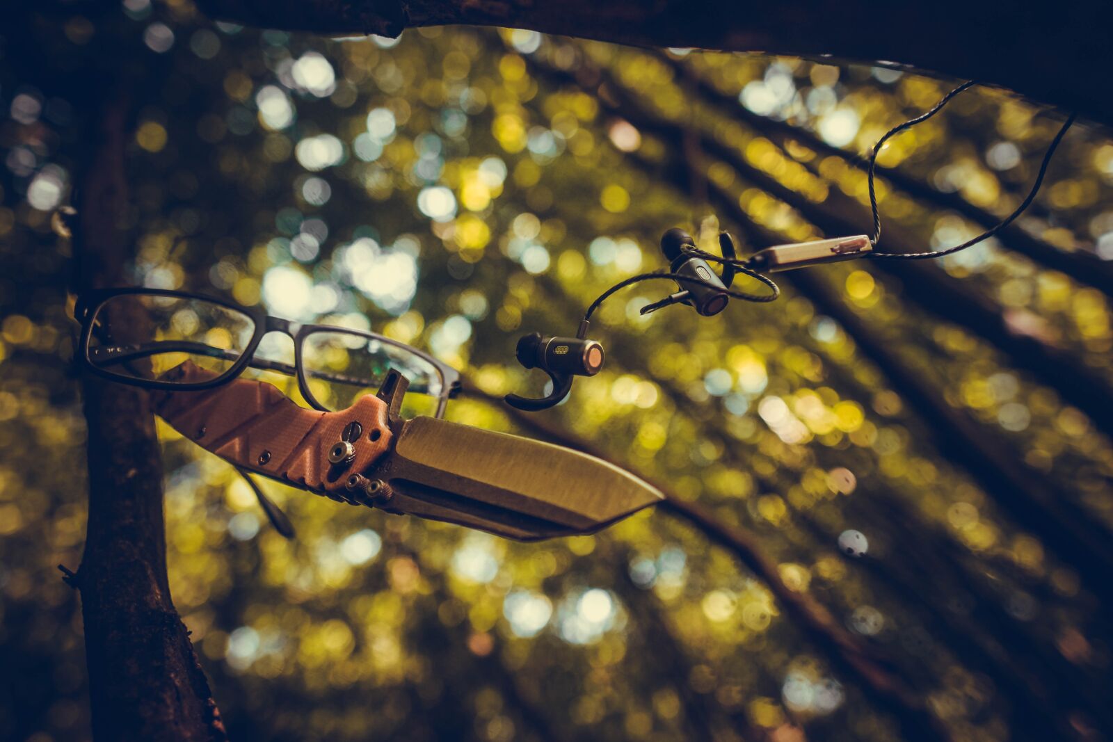 Sony a6400 + Sigma 16mm F1.4 DC DN | C sample photo. Knife, nature, green photography